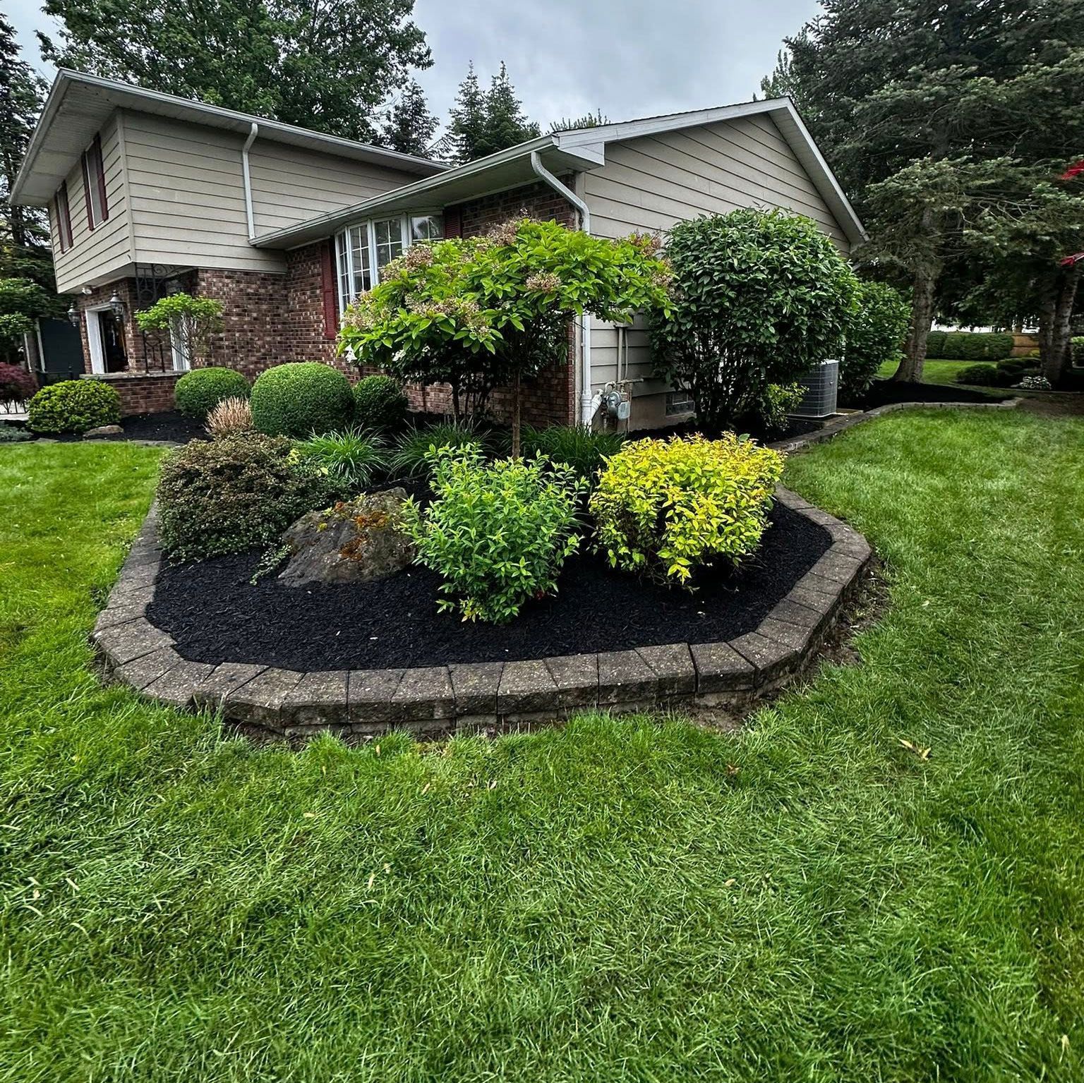 Front yard landscaping with trimmed shrubs, dark mulch, and a curved stone border beside a house