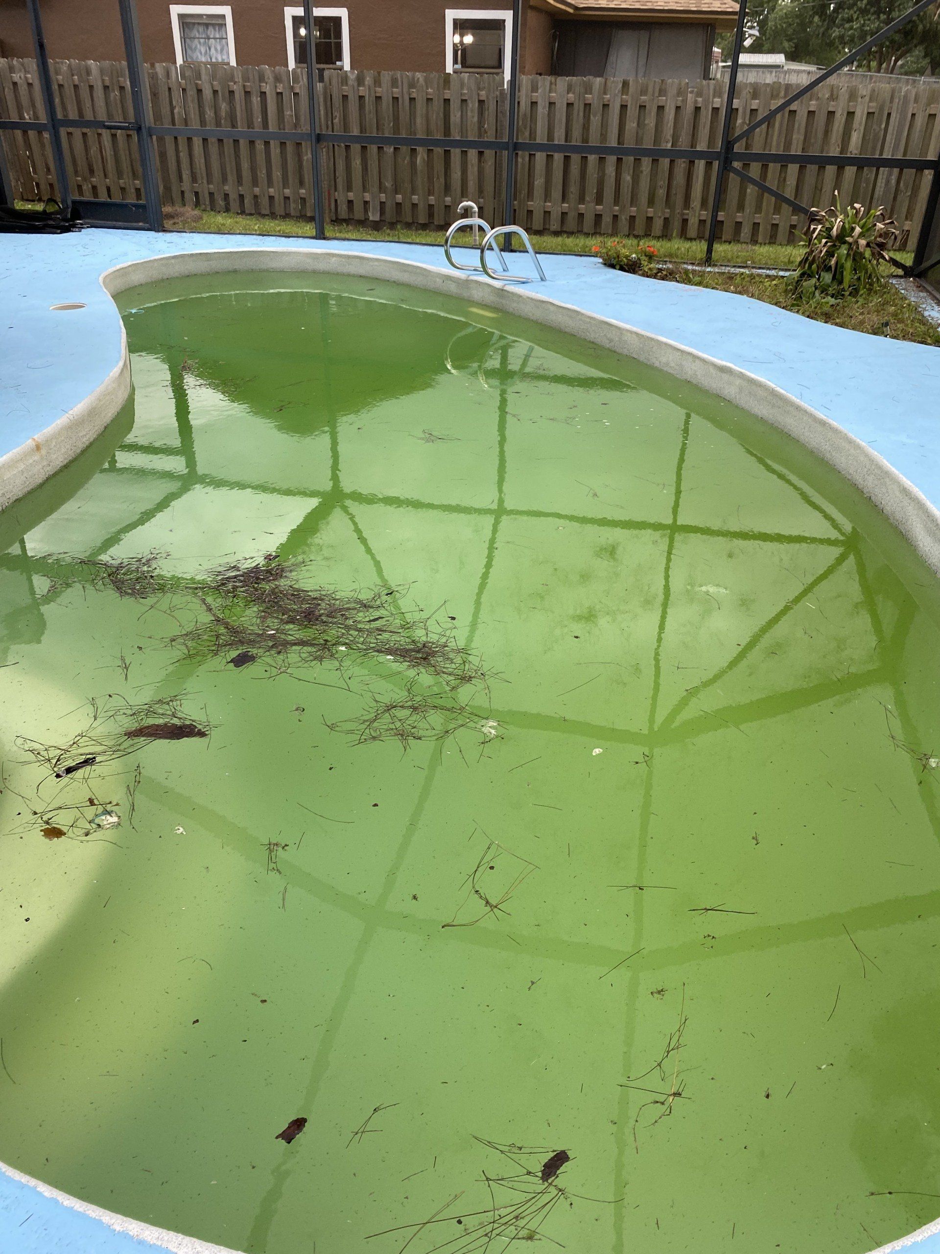 Pool Cleaning Before
