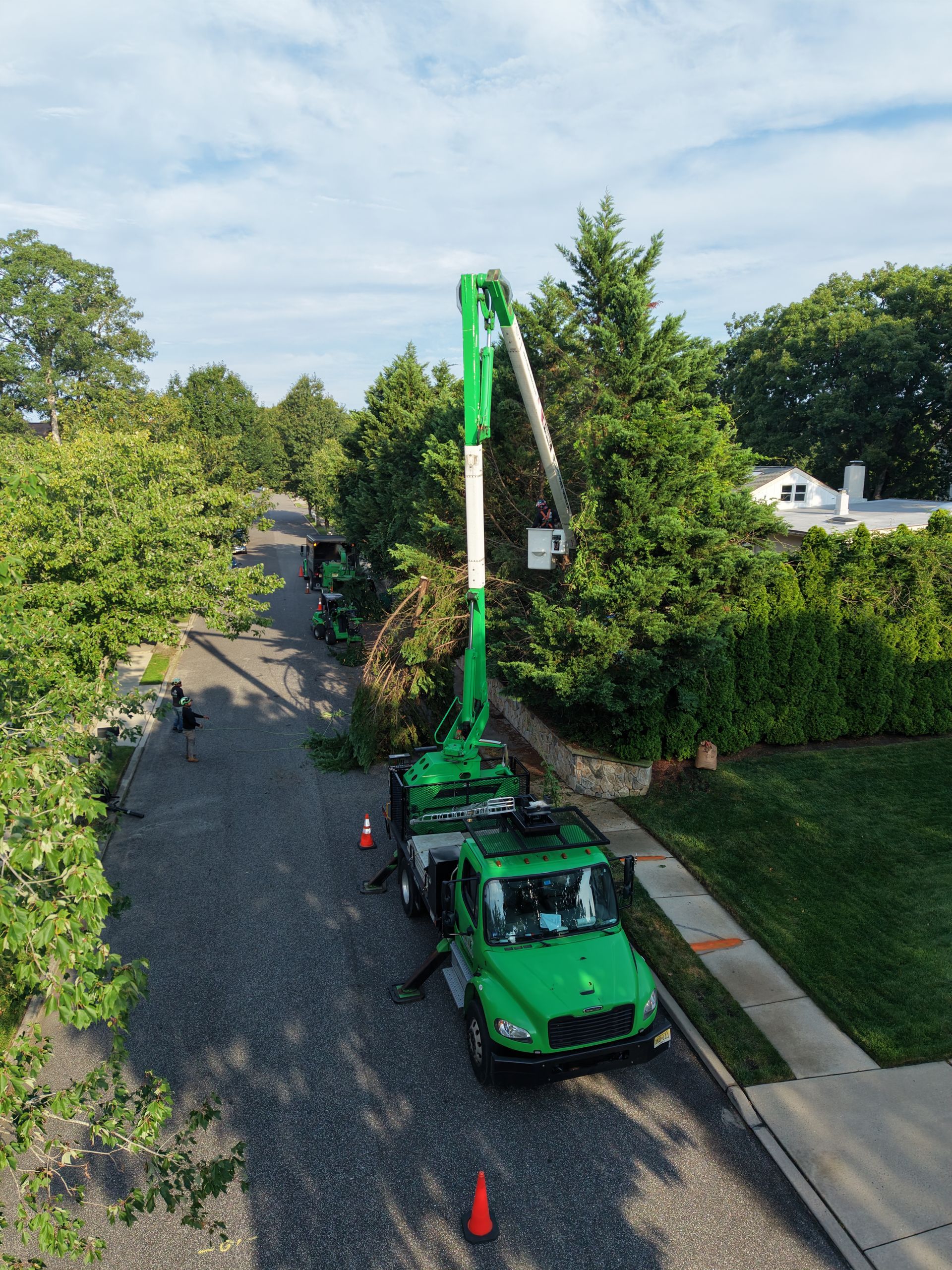 Green bucket truck pruning a tall leafless tree in a suburban yard under a blue sky