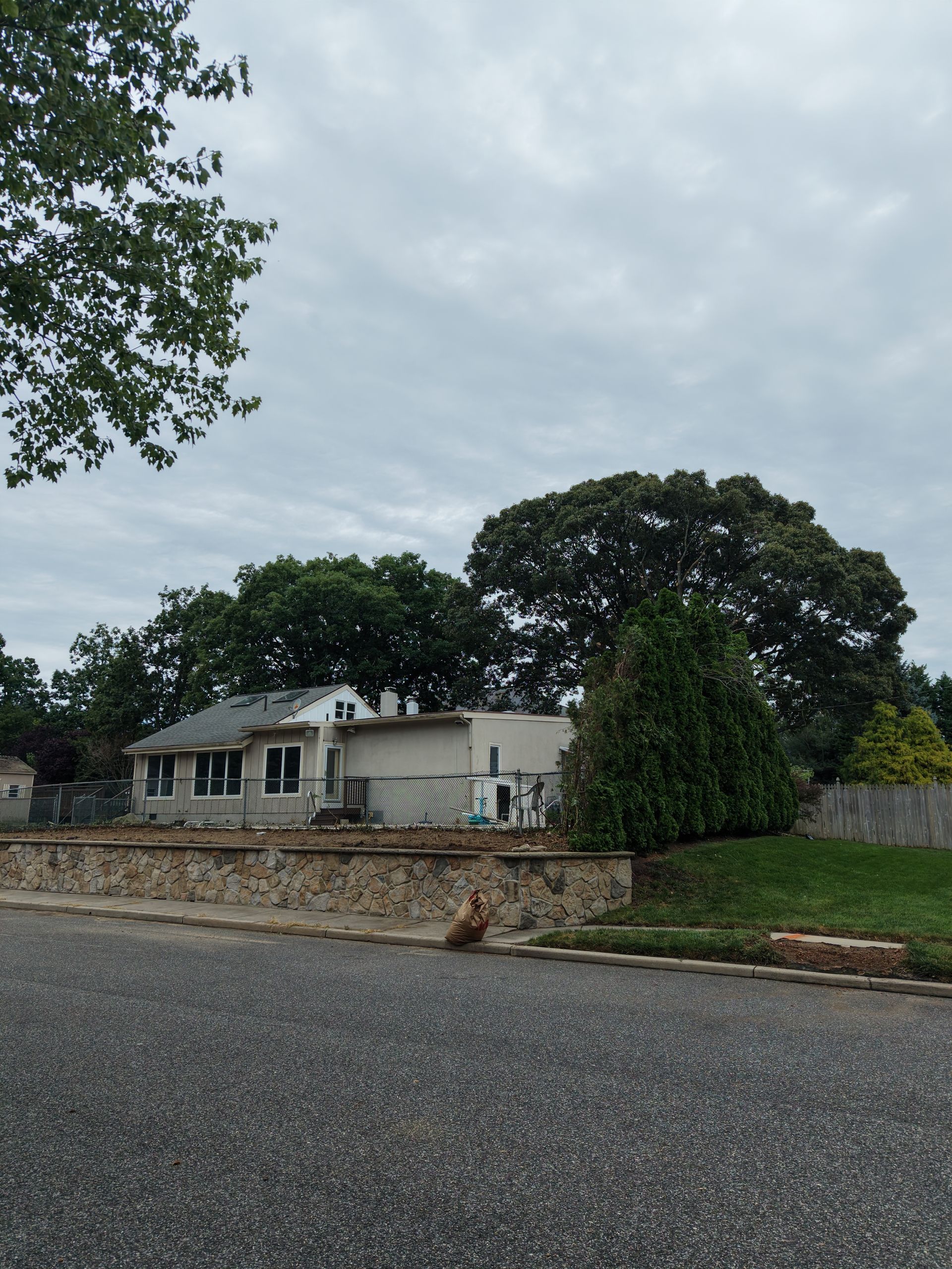 Leafless tree in a yard beside a gray house under a cloudy sky.