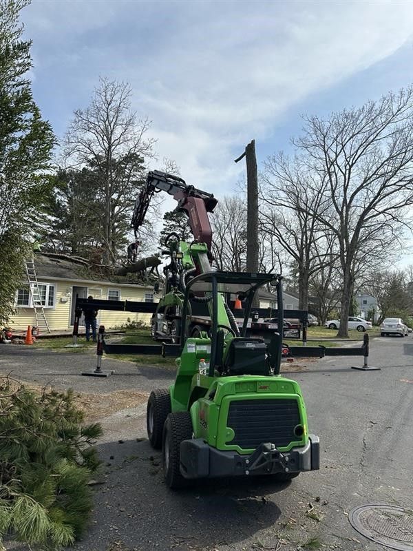 Green utility loader lifting a large tree limb on a residential street with workers nearby