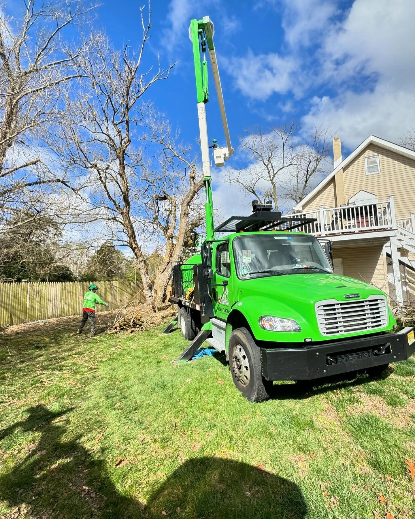 Worker trimming a large tree from a bucket truck beside a street with traffic cones and equipment.