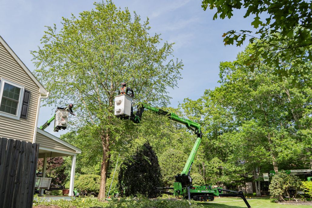 Worker in a green boom lift trimming trees beside a house on a sunny day