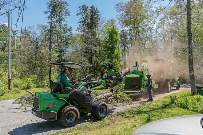Green loaders clearing dirt and debris beside a wooded roadside, with dust rising in the sun