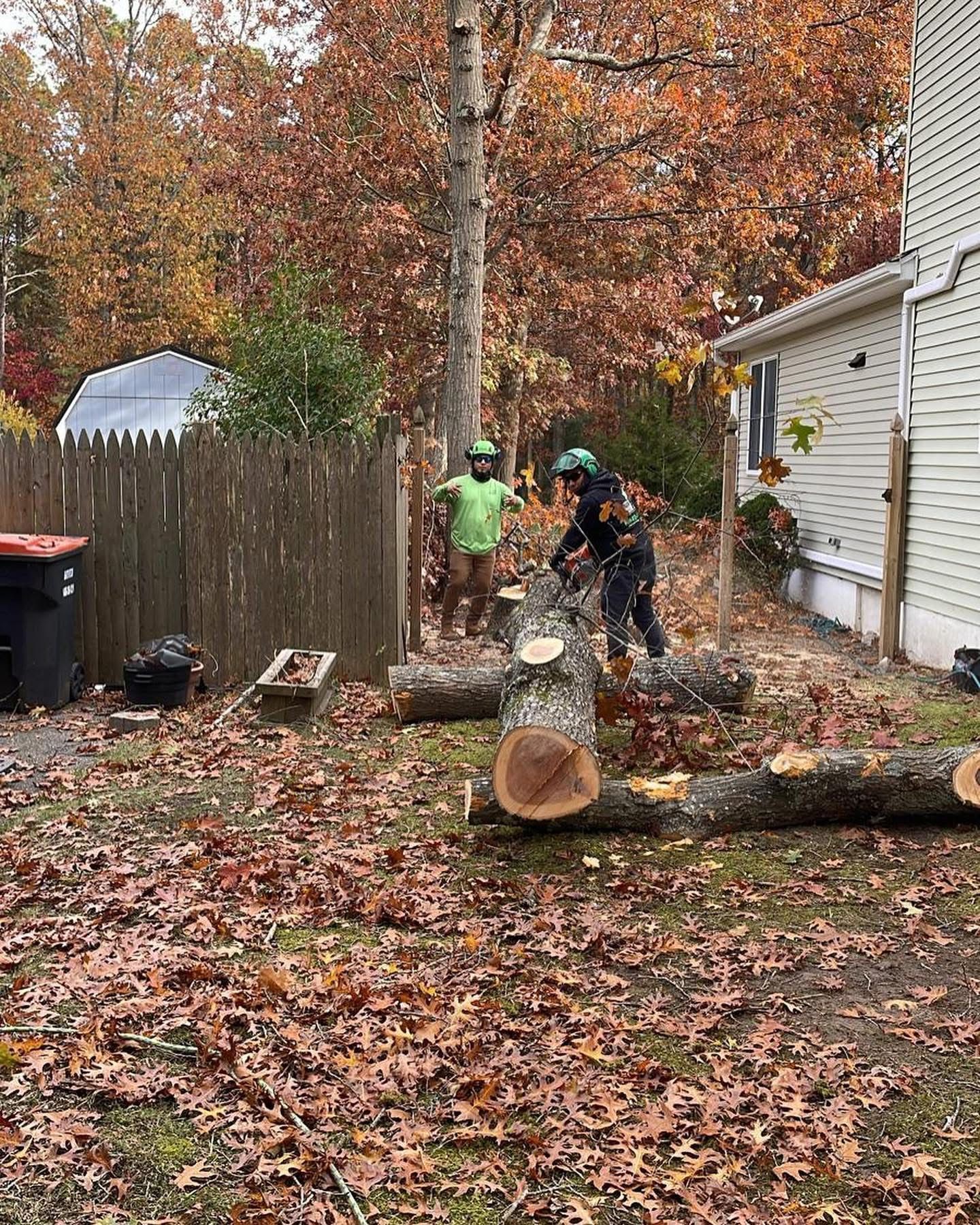 Two people cutting a large fallen tree trunk in a leaf-covered backyard beside a house.
