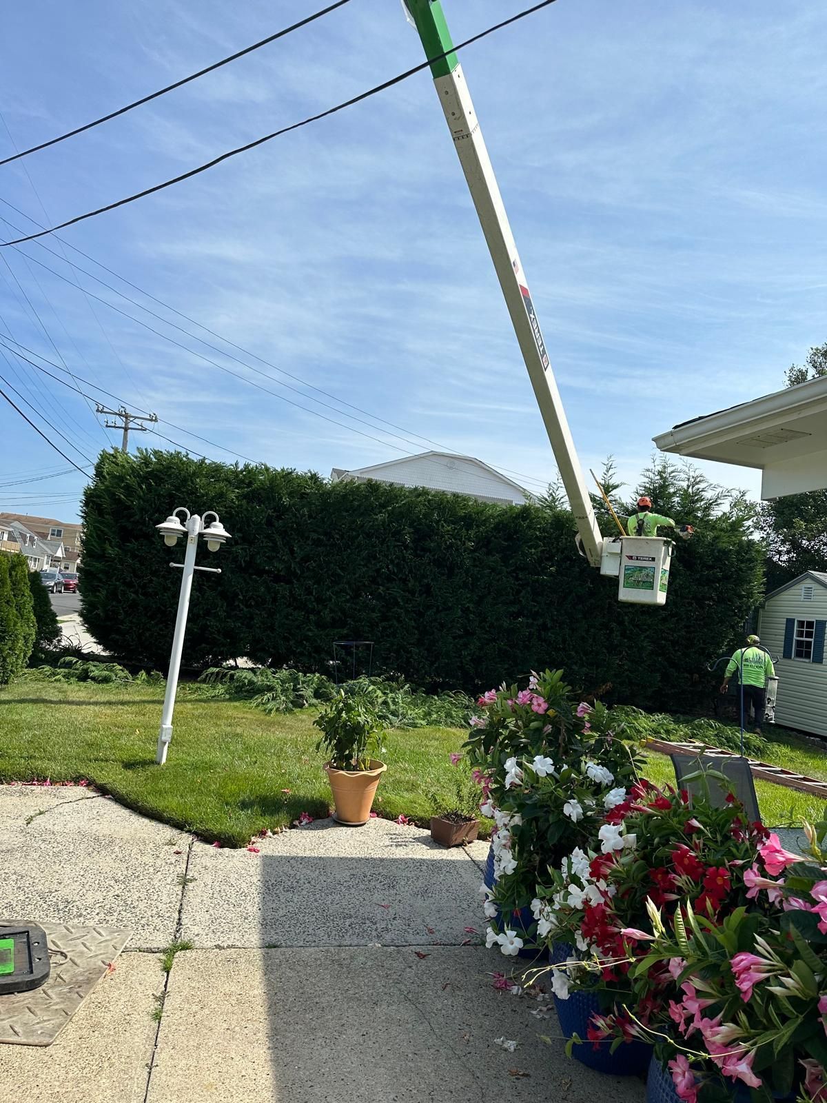 Sunlit backyard with flowering plants, patio, hedge, and a leaning utility pole overhead