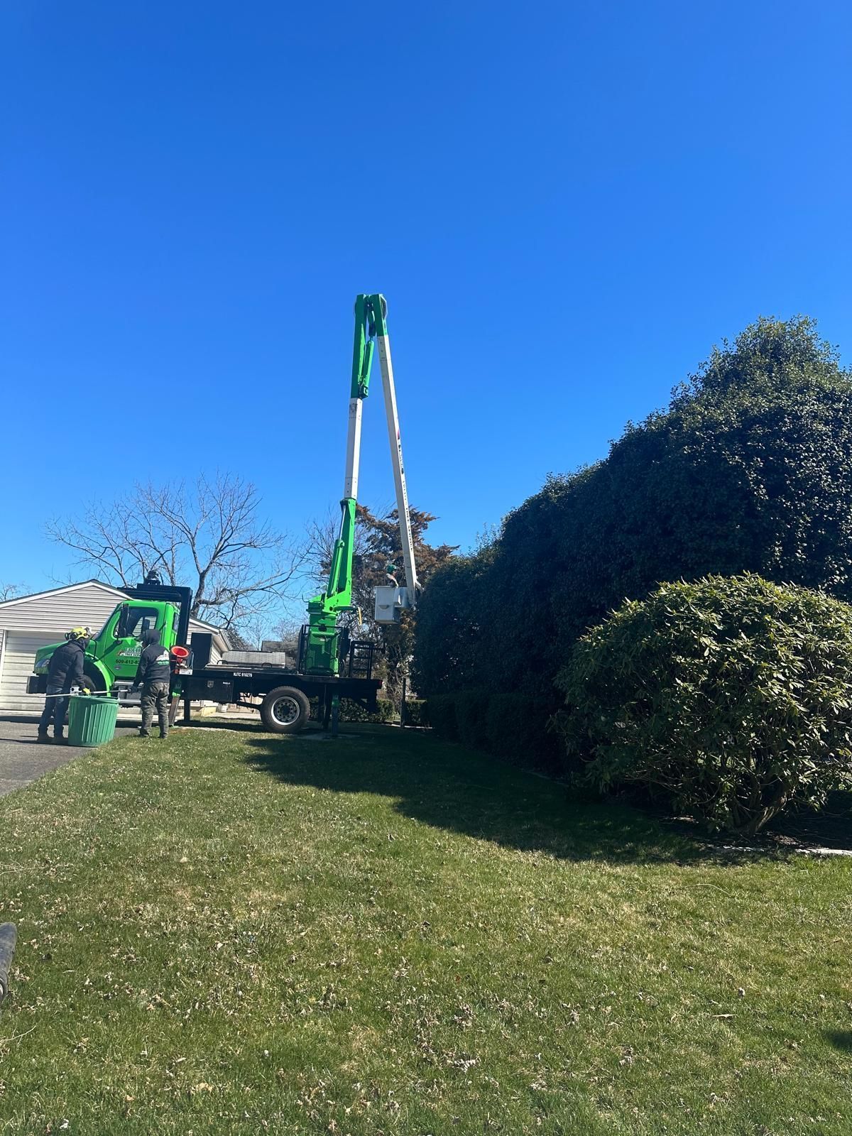 Green truck crane lifting a tree beside a hedge on a sunny lawn under a clear blue sky