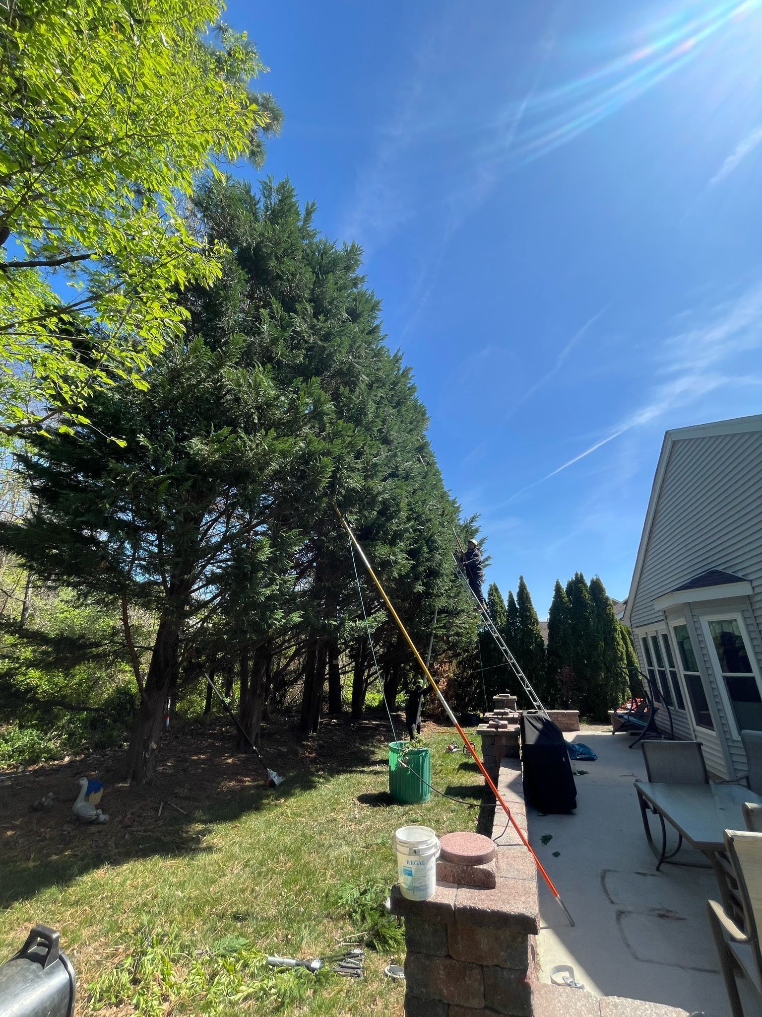 Backyard patio beside a white house, with trees, green lawn, table, and bright blue sky.
