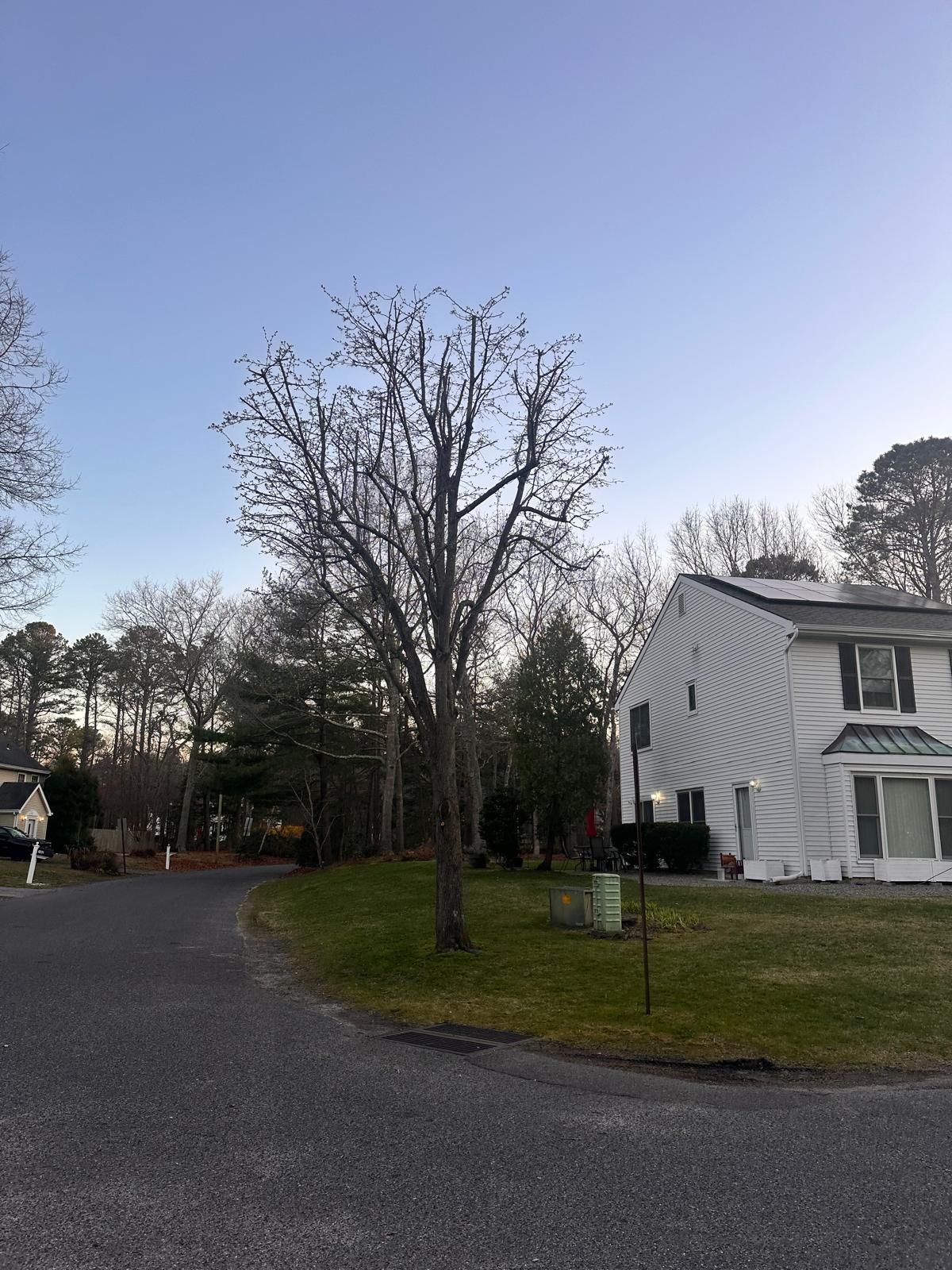 Quiet suburban street at dusk with a white house, bare trees, and a curved driveway.