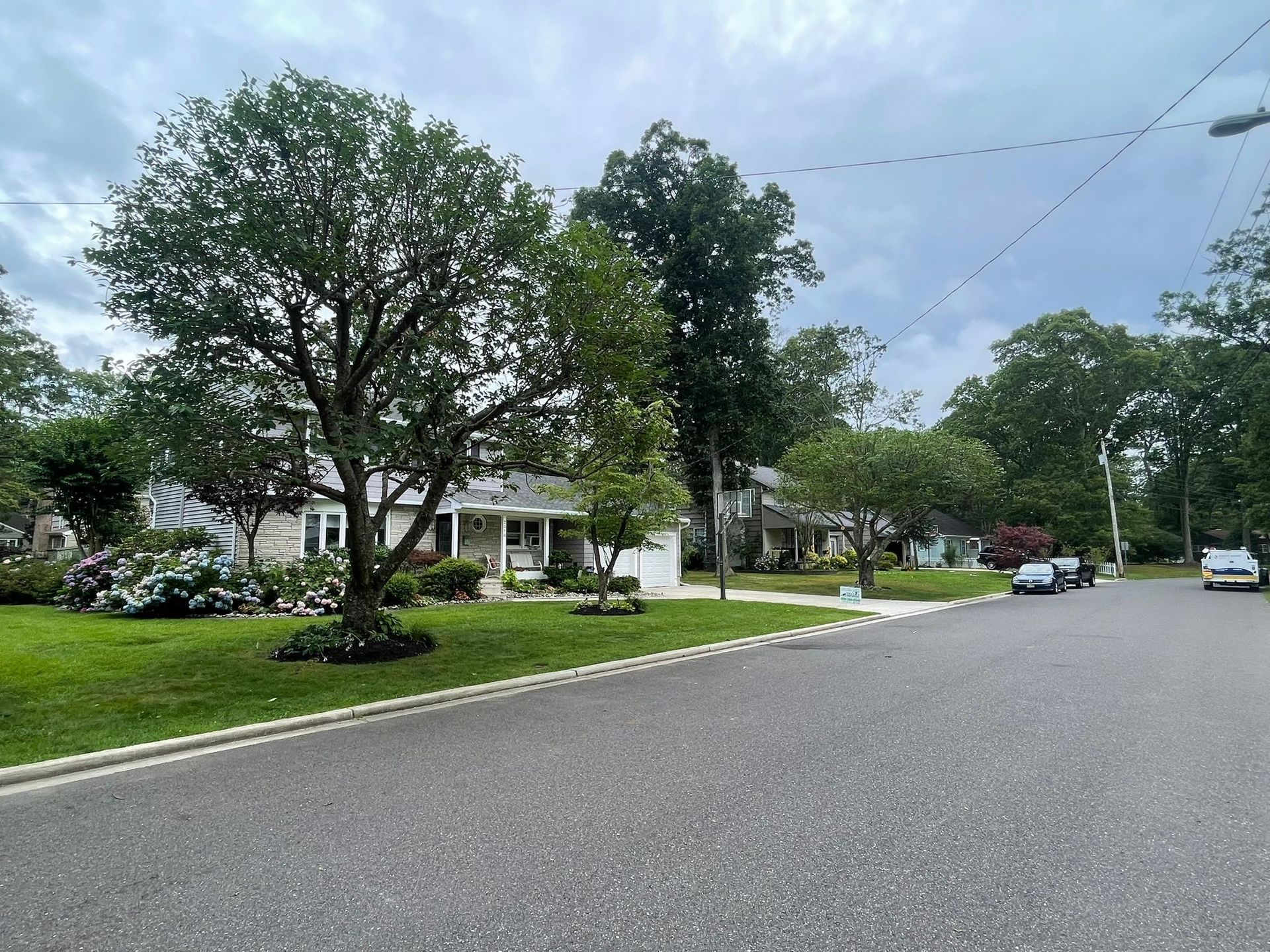 Quiet suburban street with trees, houses, and parked cars under a cloudy sky