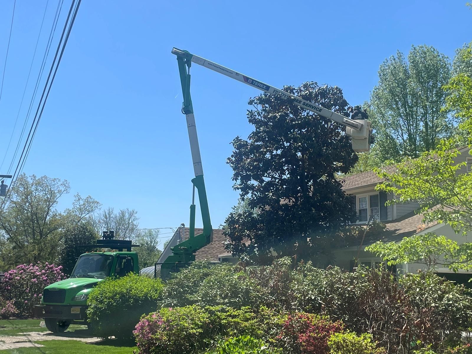 Green utility truck and bucket lift trimming trees beside a house on a sunny day