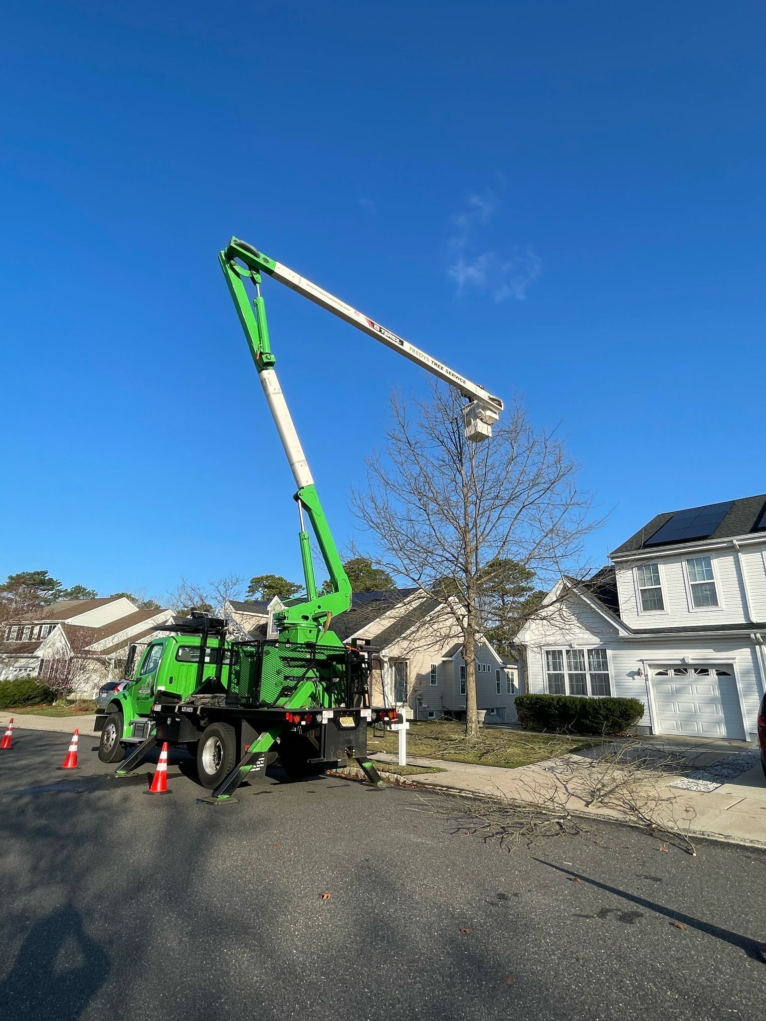 Green tree-trimming truck lifts a worker basket beside a roadside tree in a suburban neighborhood.