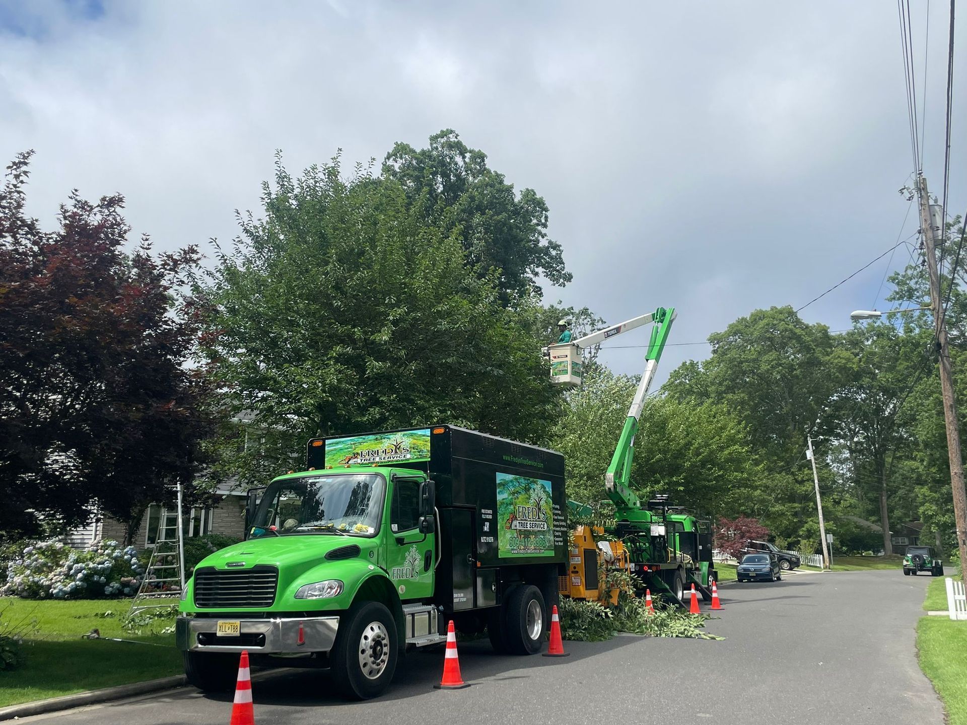Green utility truck with workers and a boom lift repairing roadside trees near orange cones.