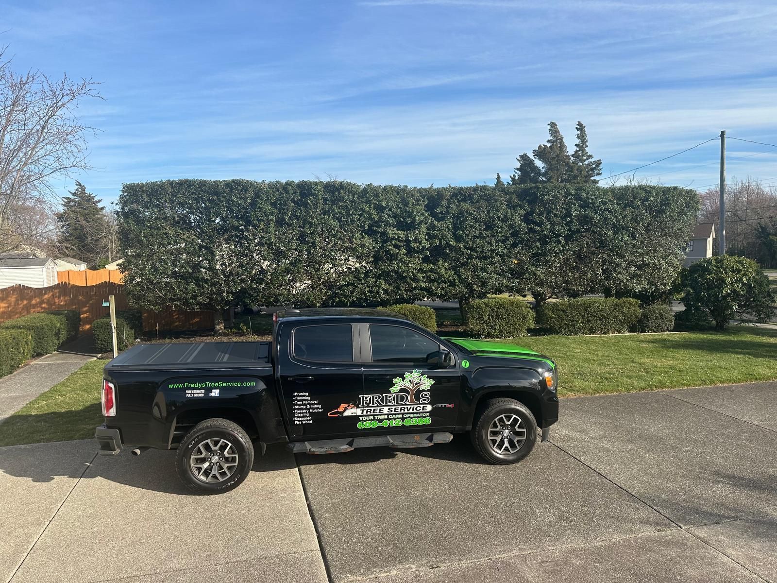 Black pickup truck parked on a driveway beside a hedge under a clear blue sky.