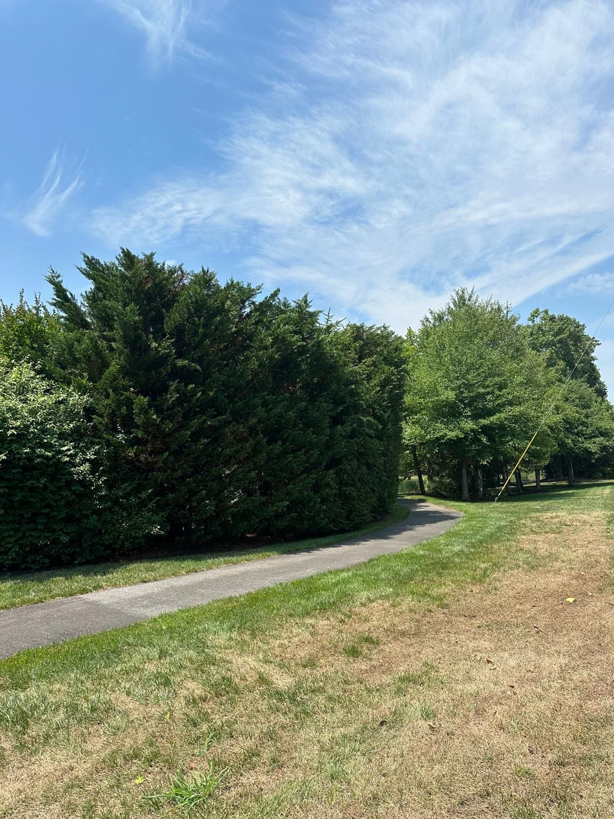 Curved path through a green park with hedges and trees under a partly cloudy blue sky