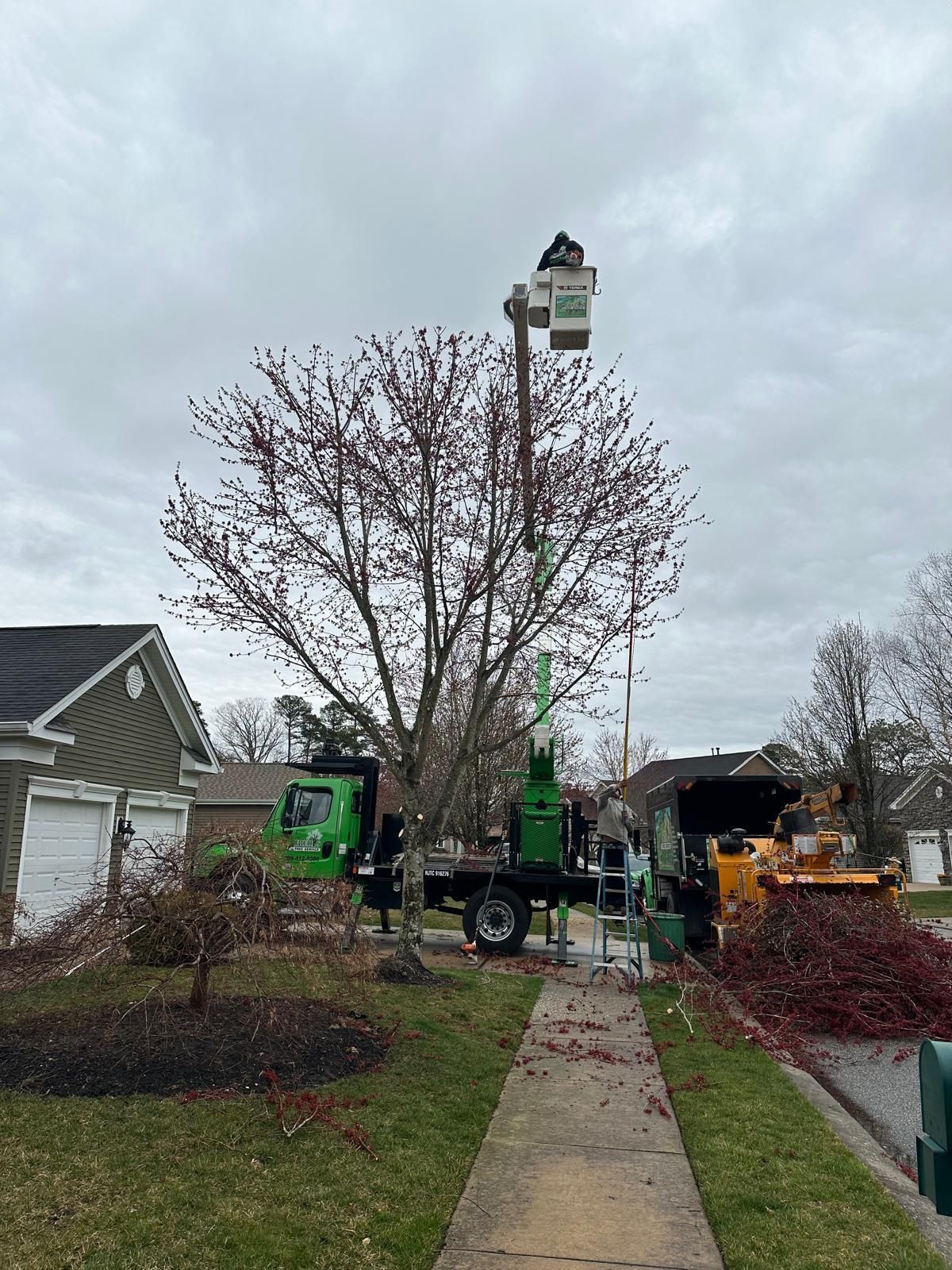 Tree crew working in a front yard with a lift and equipment beside a house