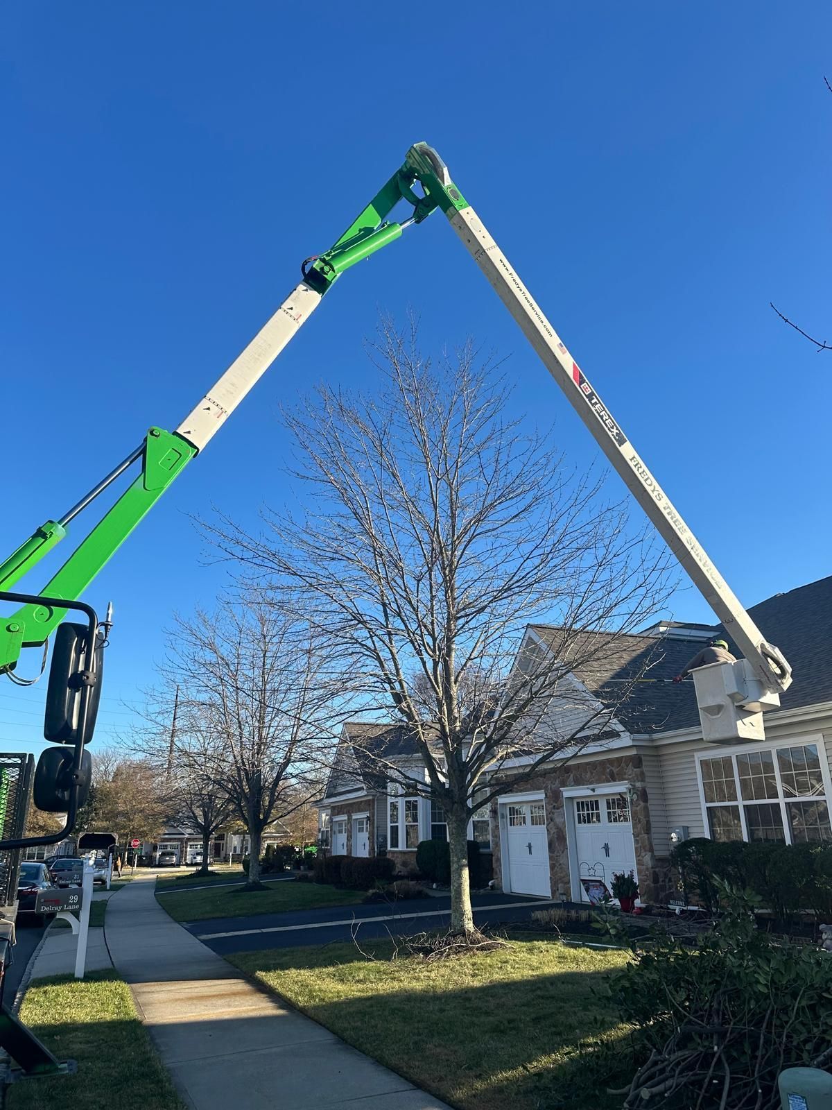 Two boom lifts extend over a leafless tree in a suburban neighborhood on a sunny day