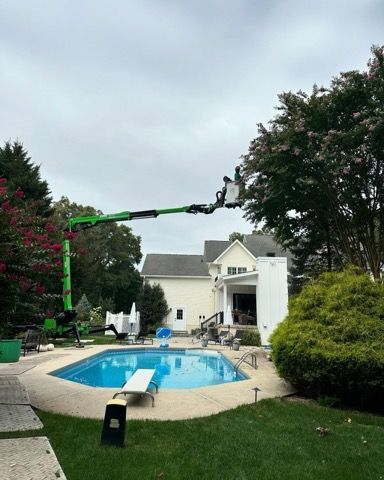 Backyard pool with a green boom lift reaching over trees beside a white house