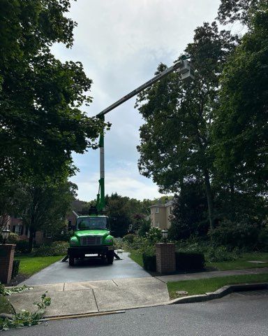 Green tree-trimmer truck with raised boom on a residential street, surrounded by tall trees