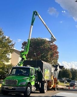 Green utility truck with a raised boom working on a tree beside a residential street