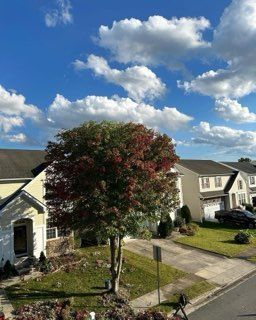 Suburban houses on a sunny street with a large tree in the front yard and partly cloudy blue sky.
