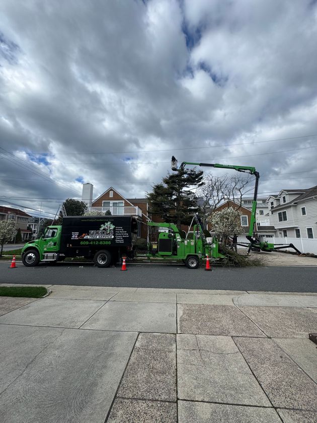Green tree-trimming truck and crane with cones on a residential street under cloudy skies.