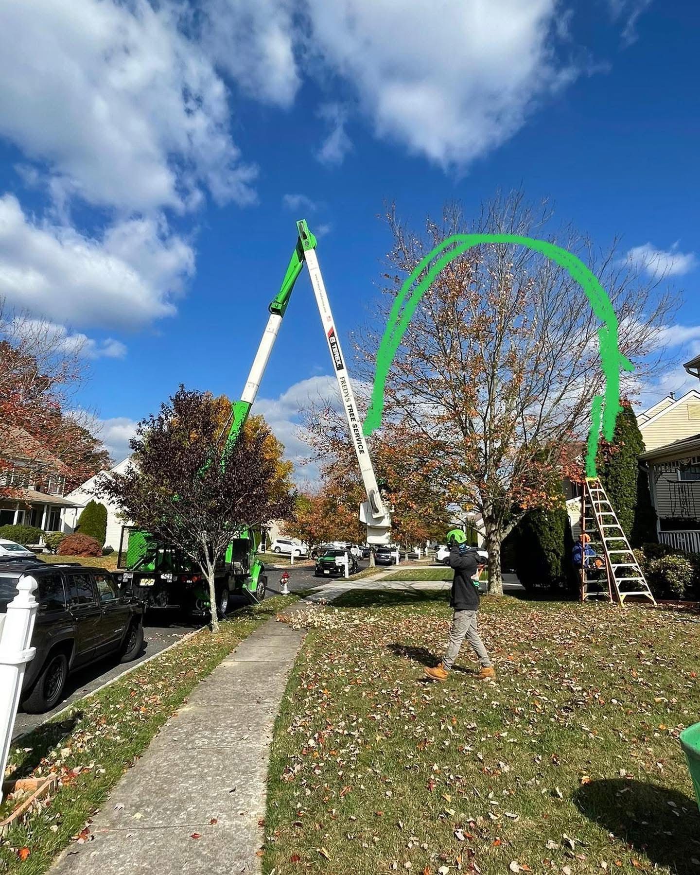 Workers trim a tree in a yard with a lifted bucket truck and ladder under a blue sky.