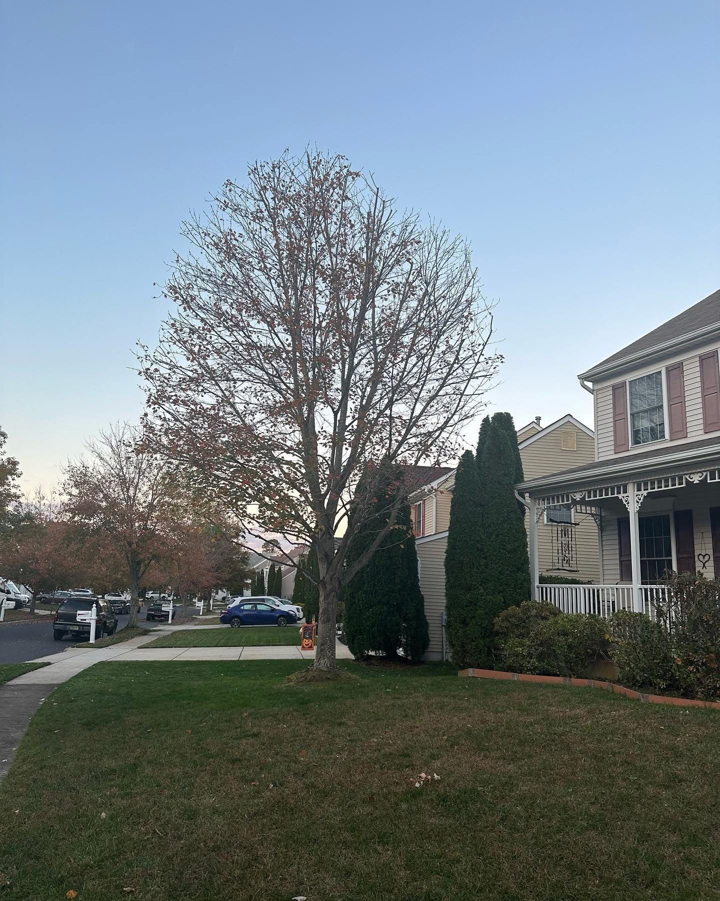 Suburban street with bare tree, green lawn, parked cars, and a house with a porch at dusk