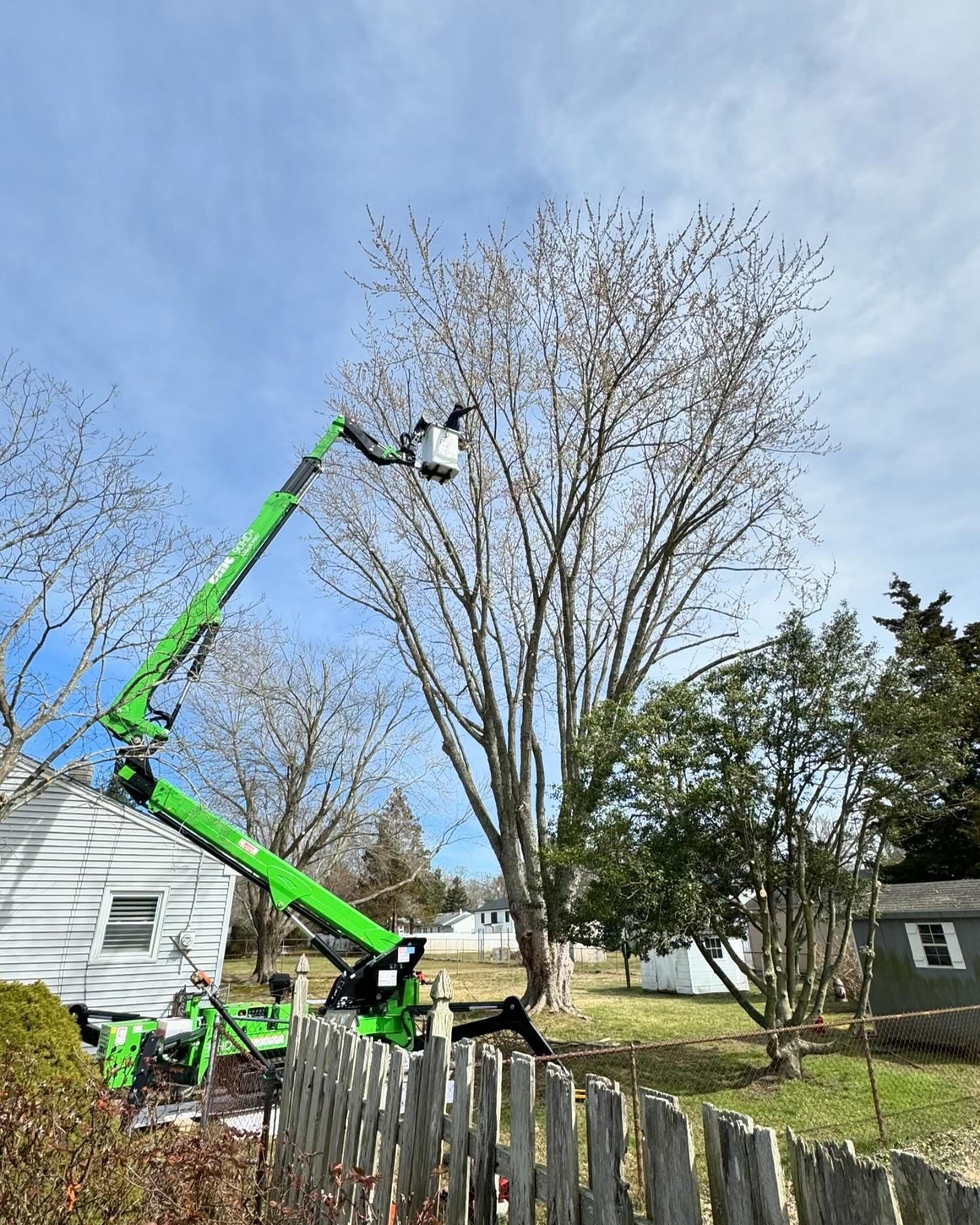 Bright green cherry picker lifting a worker to trim a tall tree in a backyard