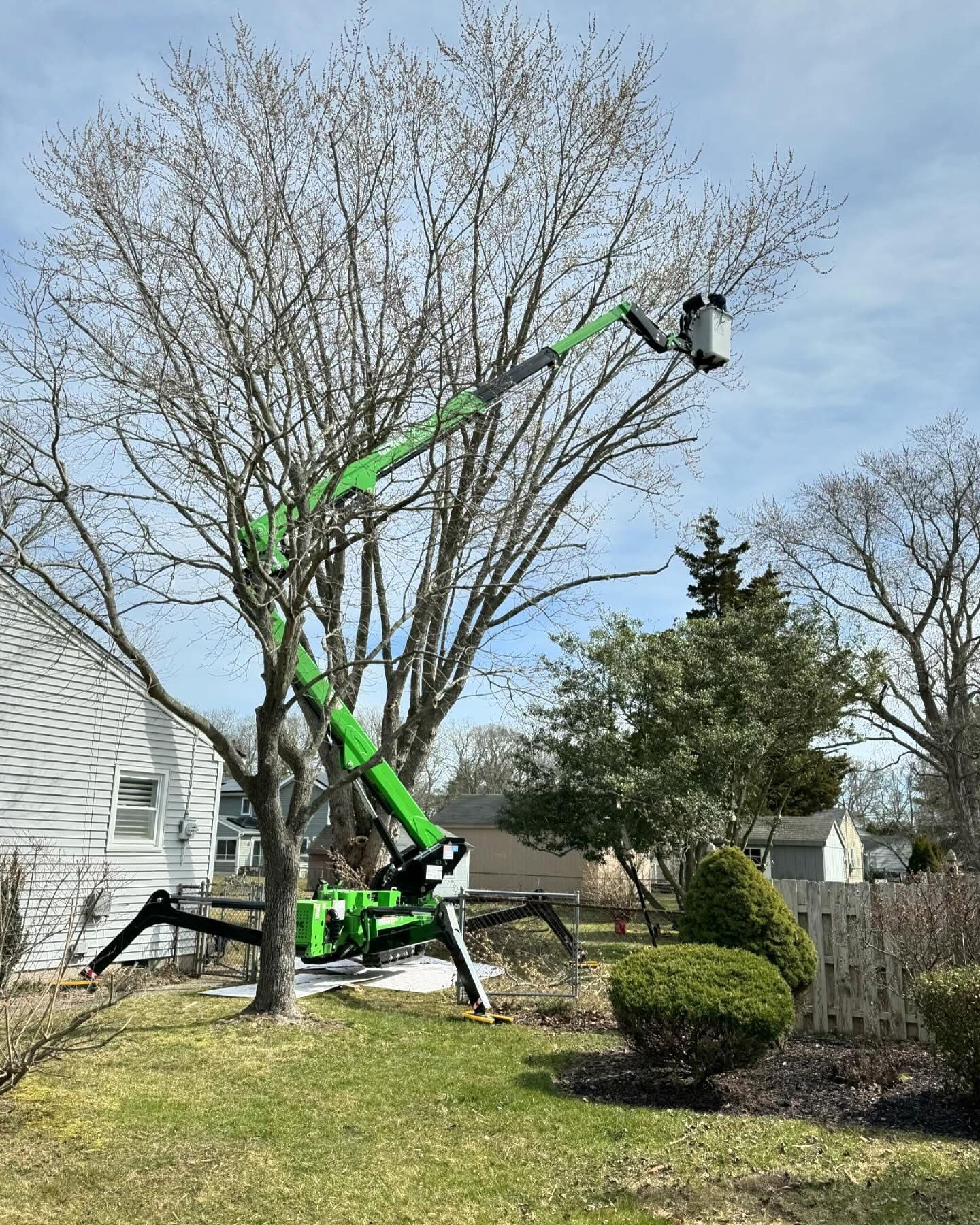 Green tree trimmer lift beside a house, worker cutting high branches in a suburban yard