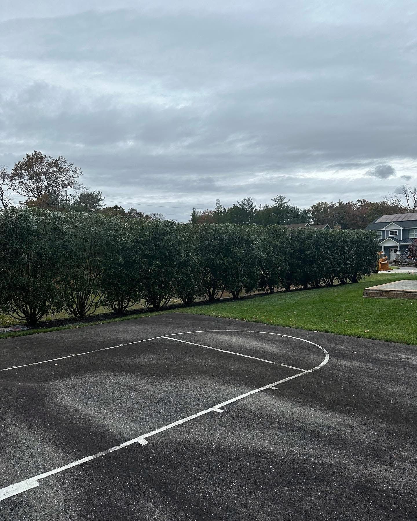 Outdoor basketball court beside a hedge under a cloudy sky, with a building in the background.