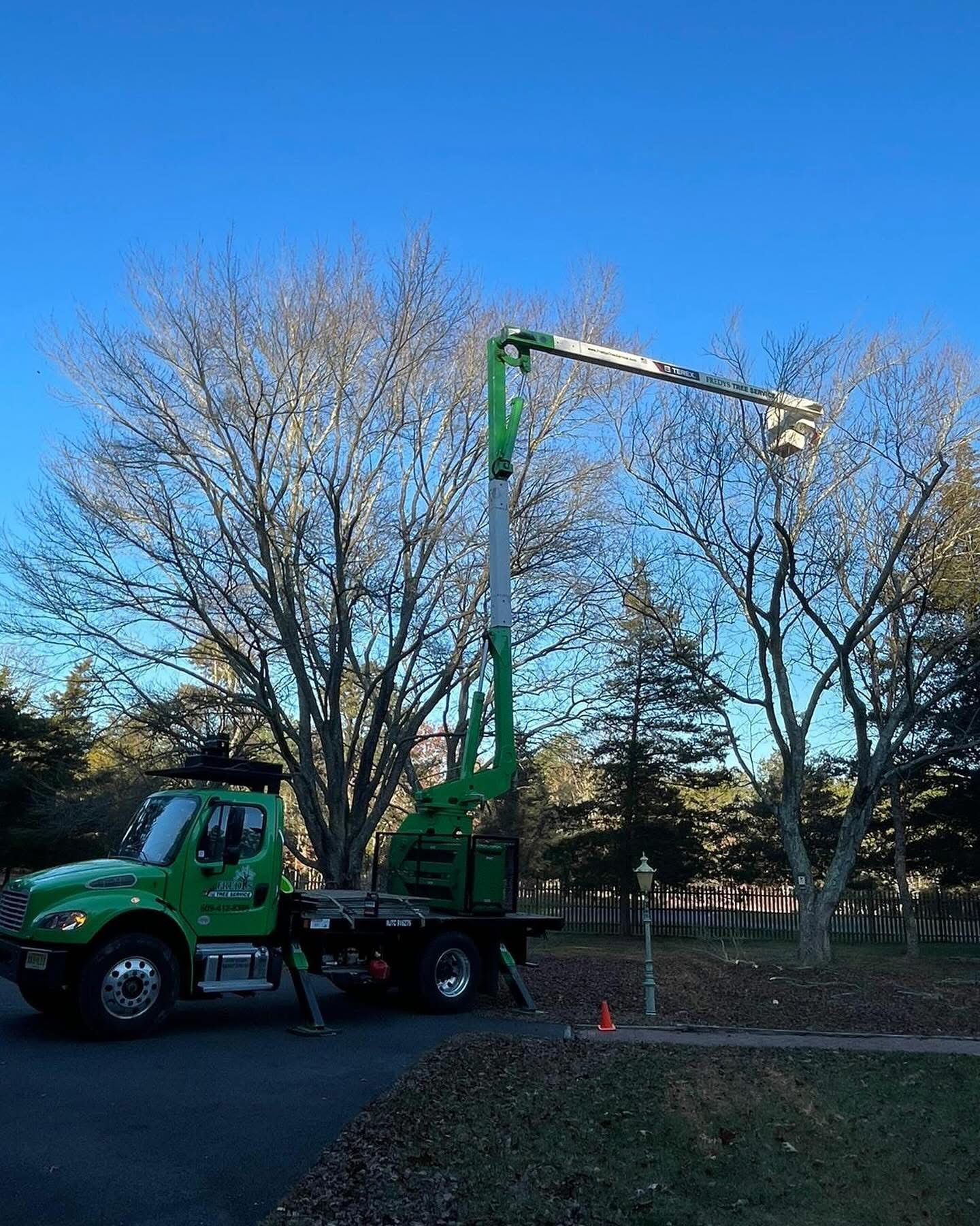 Green utility truck with raised bucket crane parked by a roadside under leafless trees.