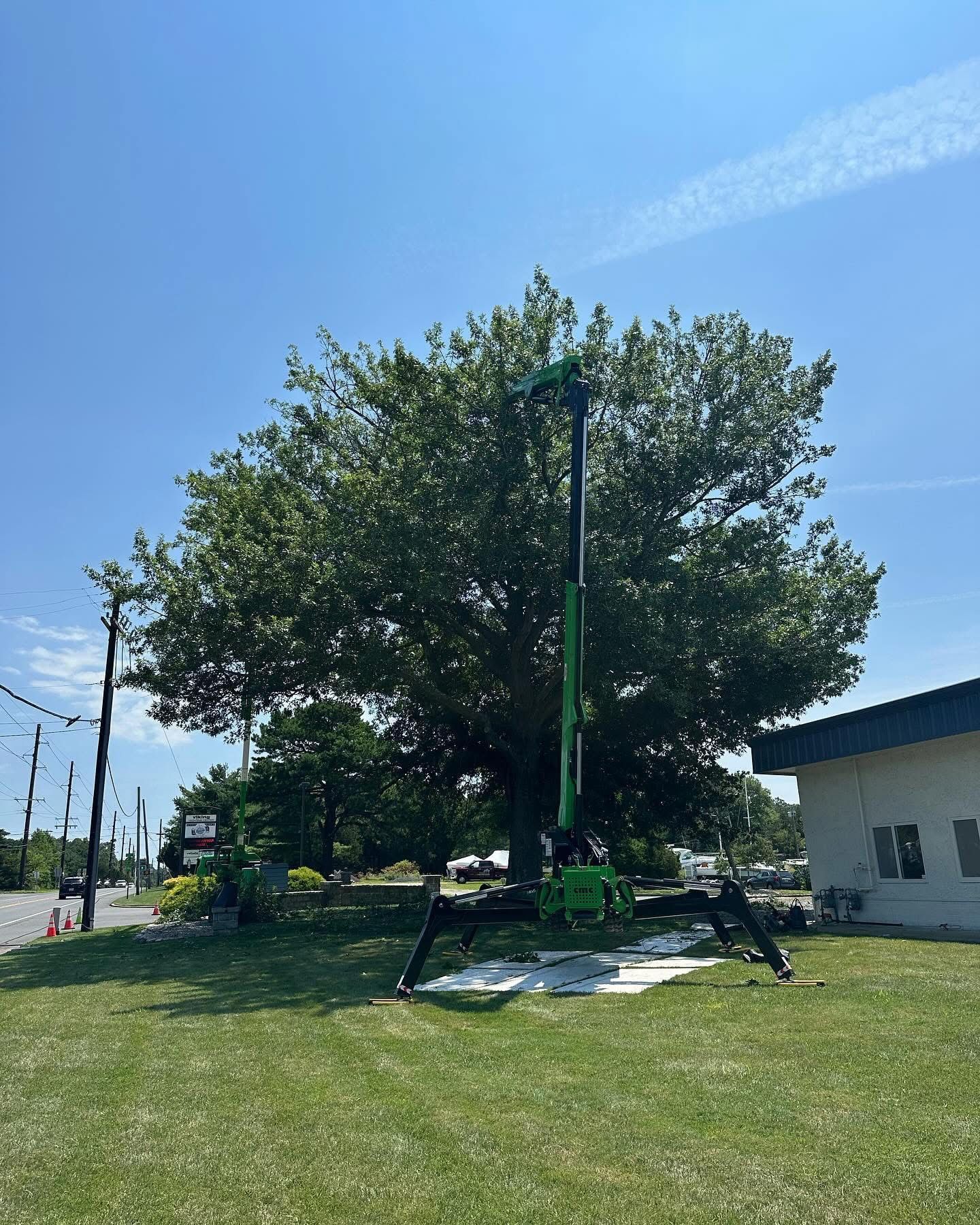 Tree on a grassy lot with a green lift beside it under a clear blue sky
