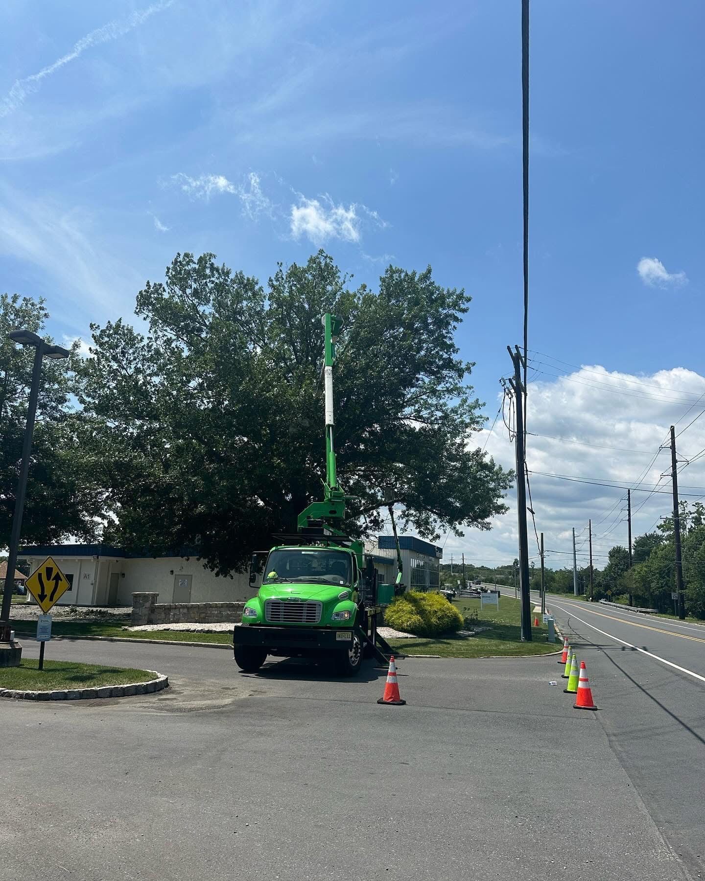 Green utility truck with raised boom on roadside, cones around it, under a blue sky.