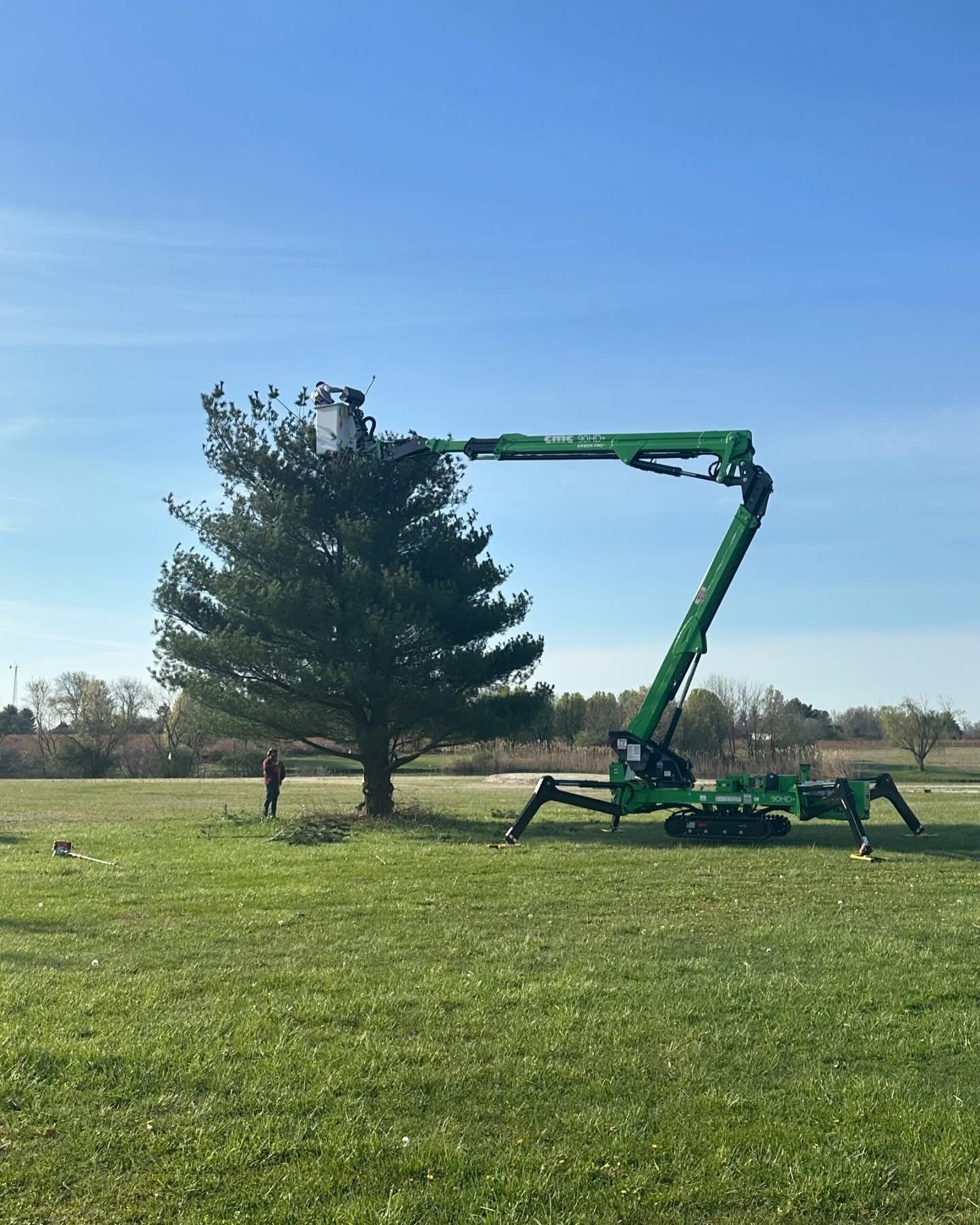 Green tree trimming lift working beside a tall pine in a grassy field under a blue sky