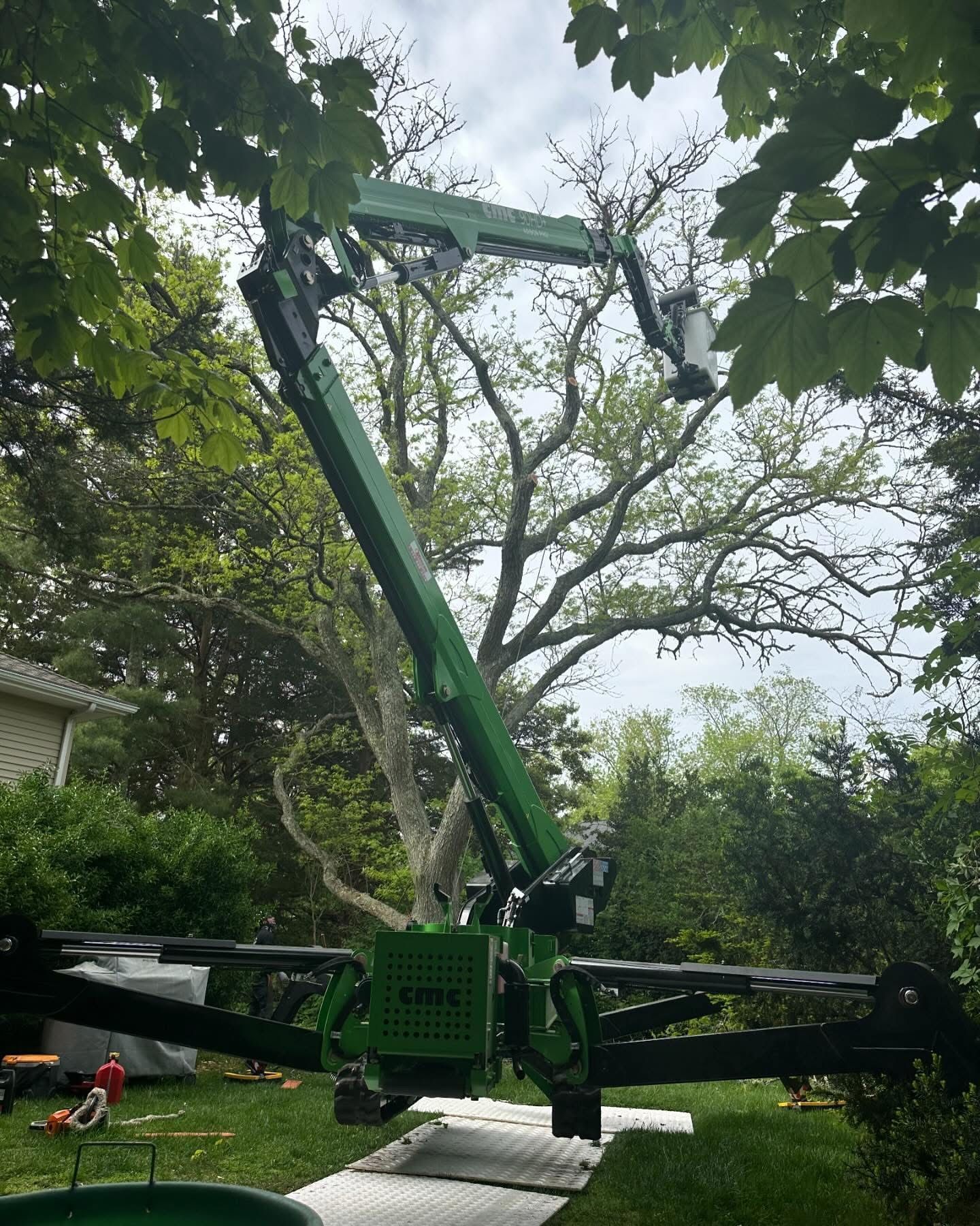 Large green tree removal machine working in a leafy backyard with a worker below