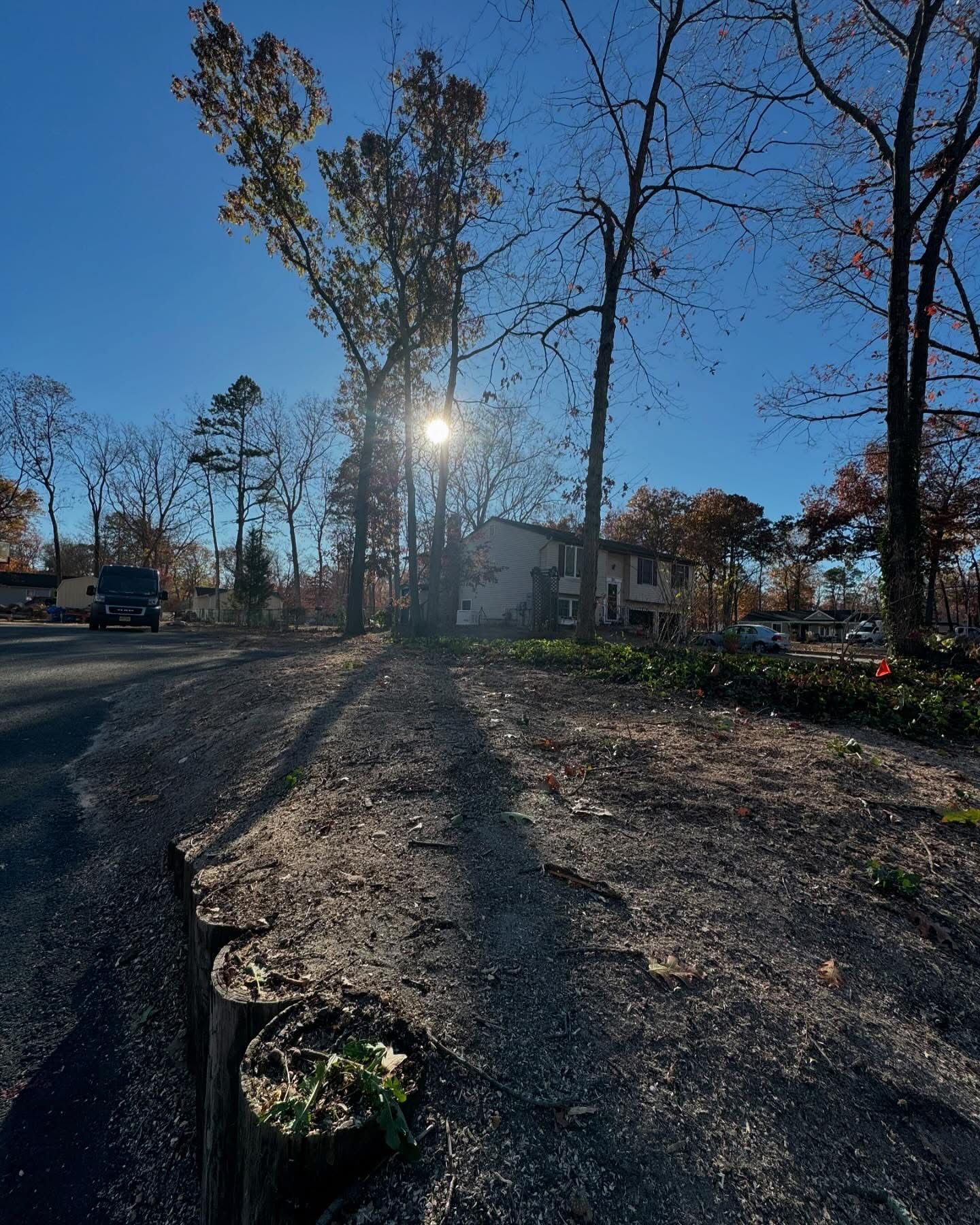 Sunlit dirt path through trees beside a small building under a clear blue sky