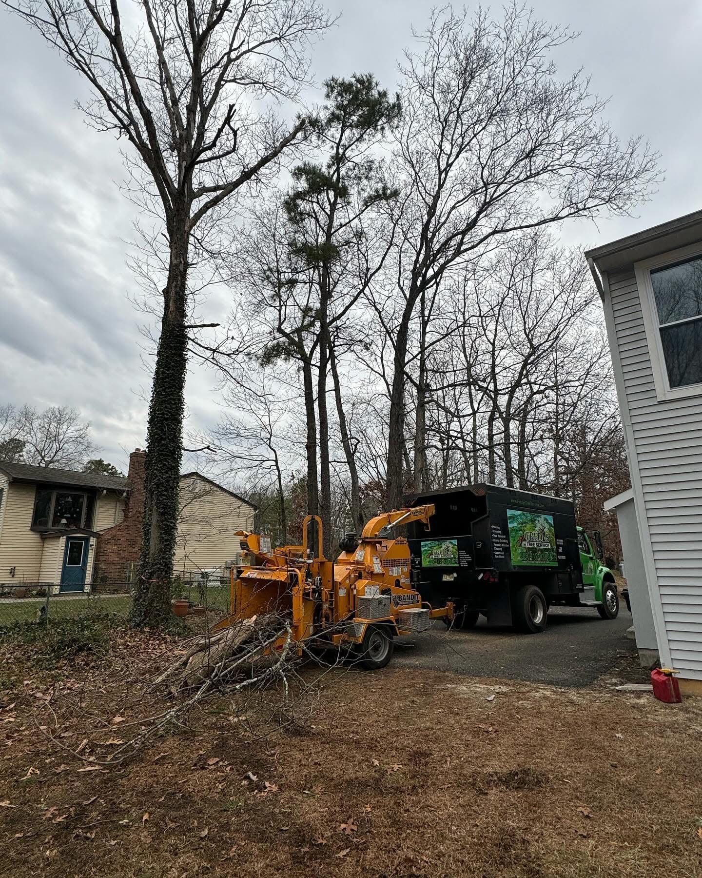 Tree removal crew with orange wood chipper and green truck in a leafless residential yard