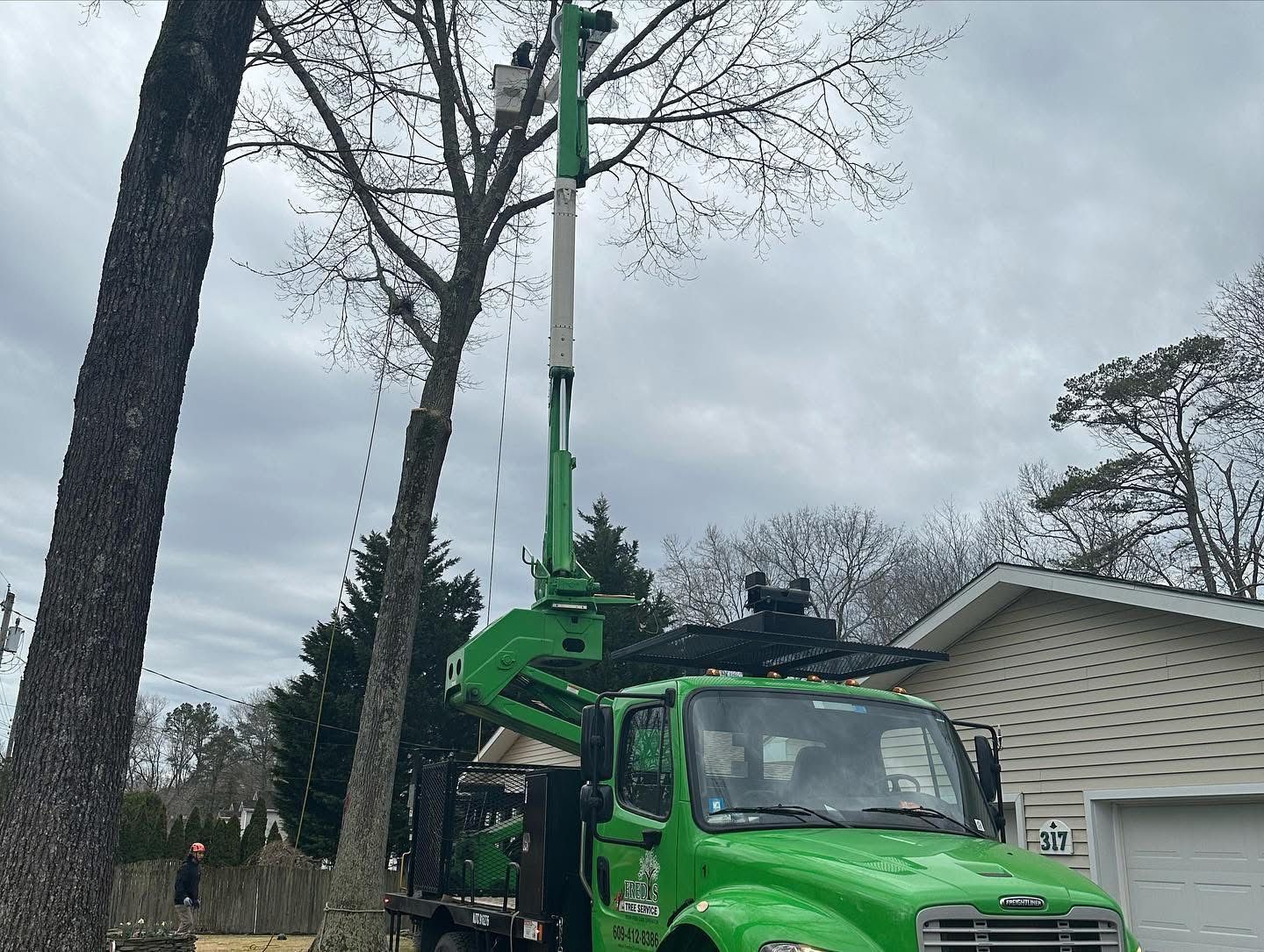 Green tree-trimming truck with raised boom beside tall trees in a residential yard