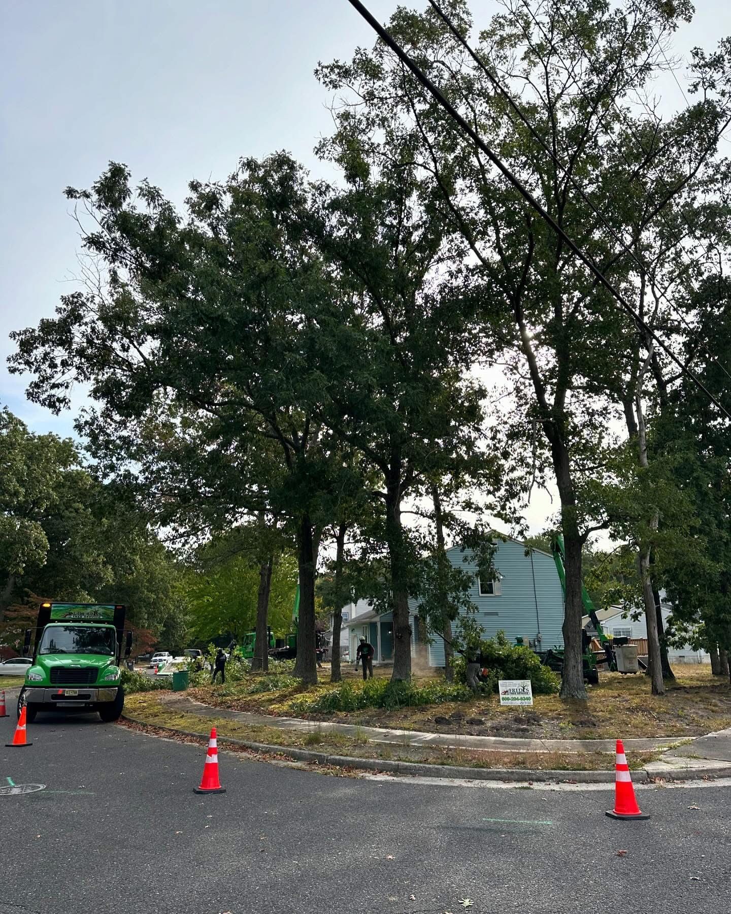 Street corner with trees, orange cones, and a green truck beside a building under construction