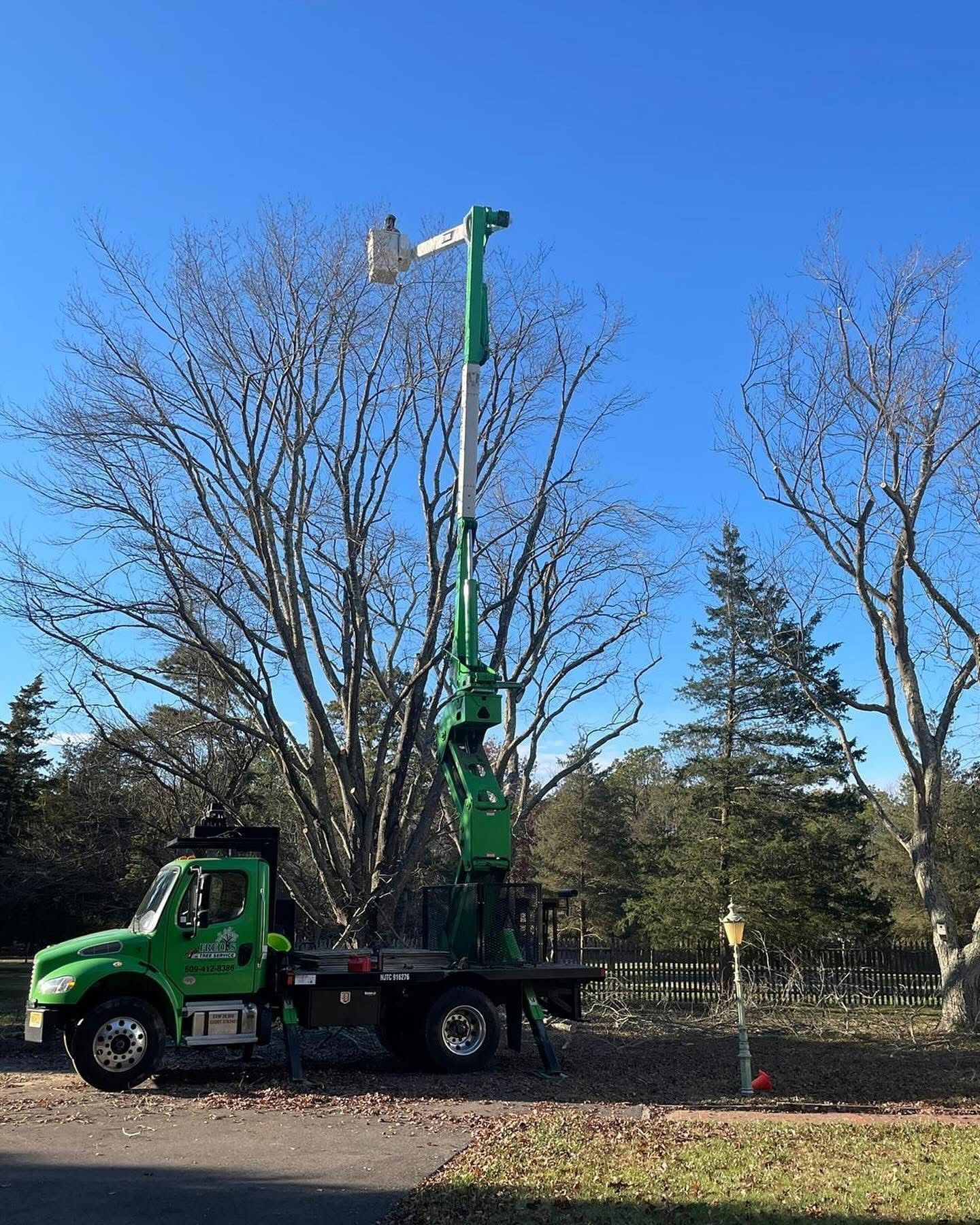 Green utility truck with raised bucket lift trimming trees in a park under a blue sky