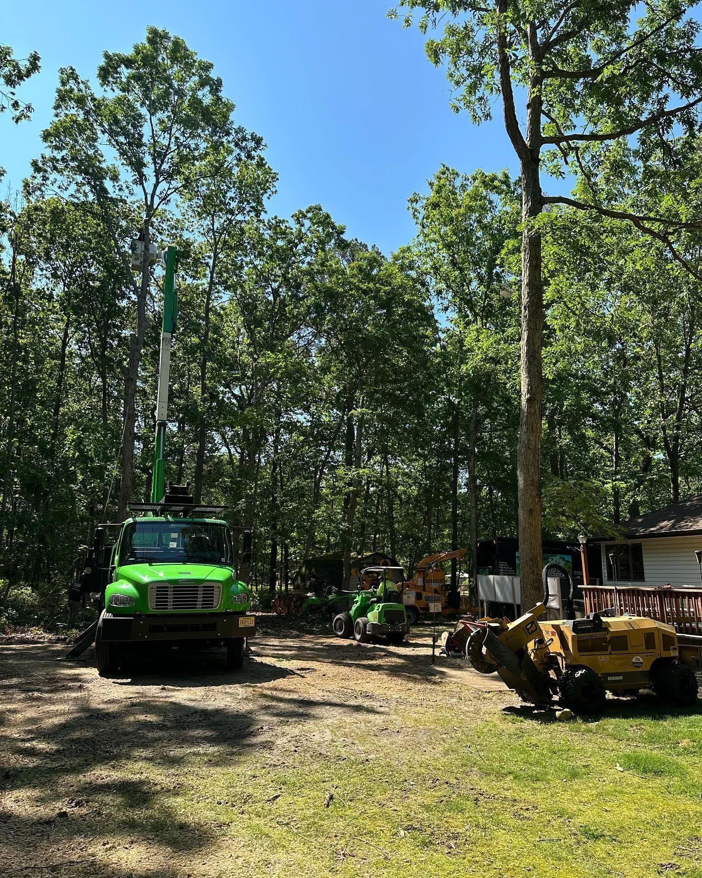 Green construction truck and yellow machinery parked in a wooded worksite under tall trees.