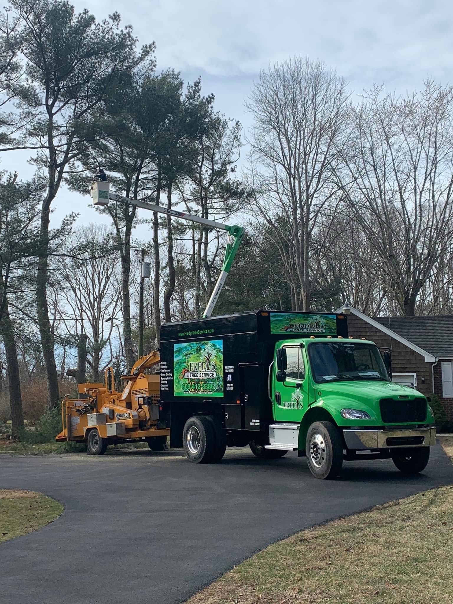 Green tree-service truck with wood chipper parked on a driveway near trees and a house