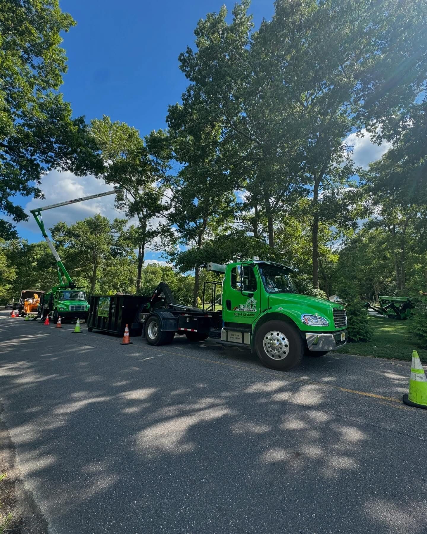 Green utility truck with trailer parked on a tree-lined road in bright sunlight
