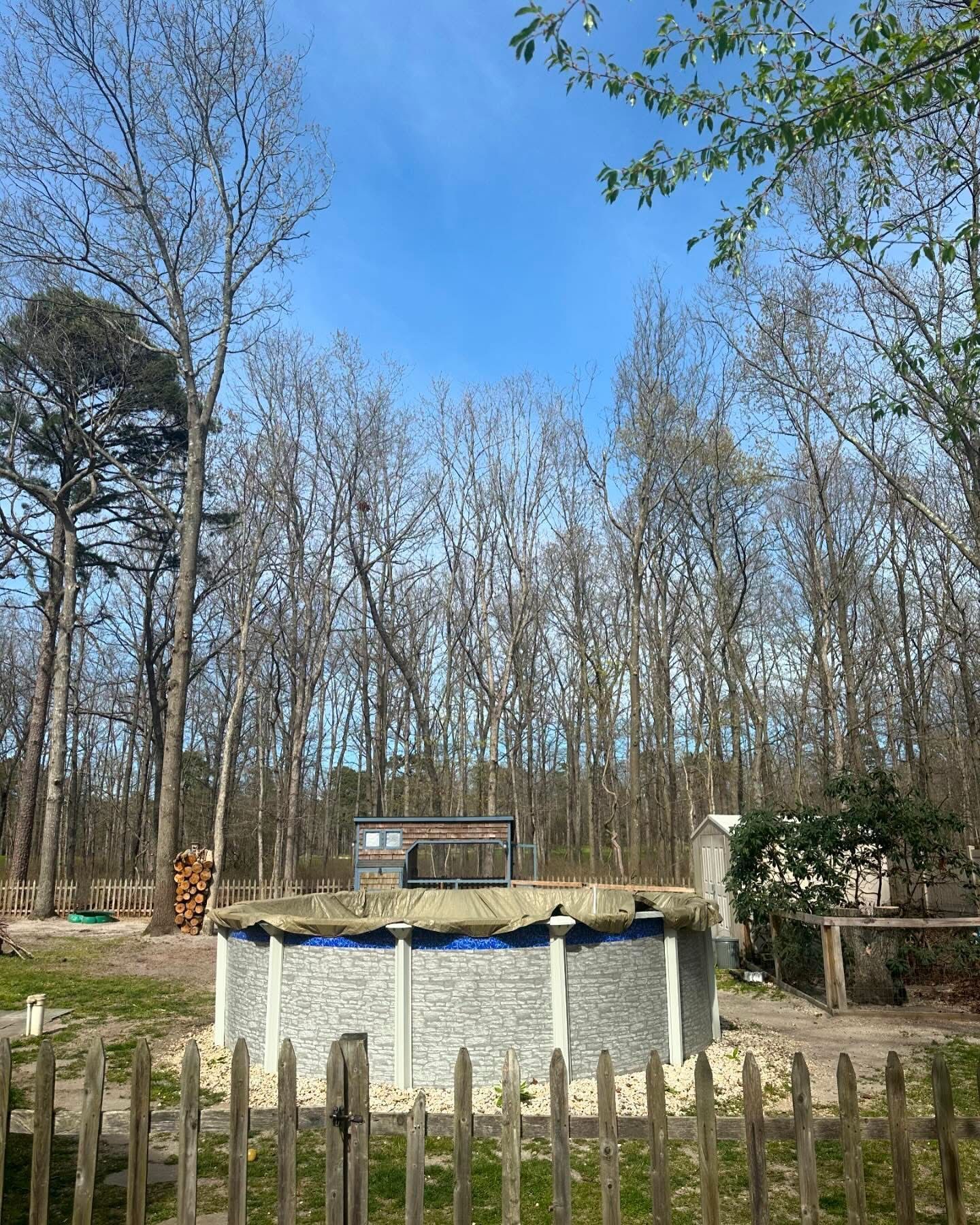 Backyard with an above-ground pool, wooden fence, and leafless trees under a clear blue sky