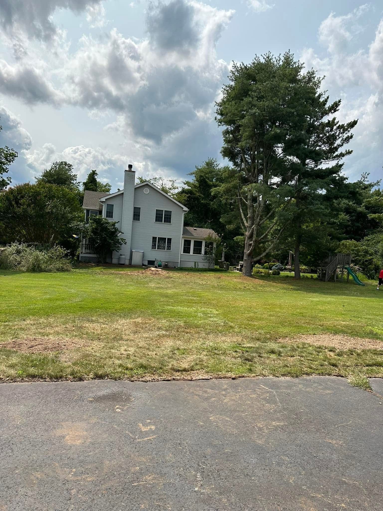 White house with tall trees behind a grassy yard under a cloudy sky.