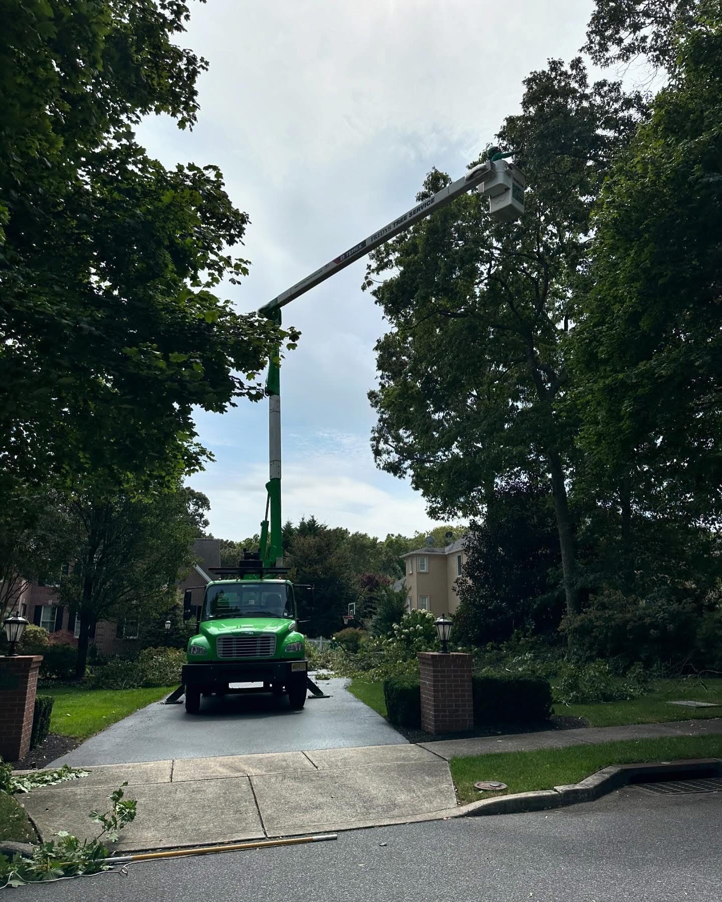Green utility truck with boom lift trimming trees on a residential street
