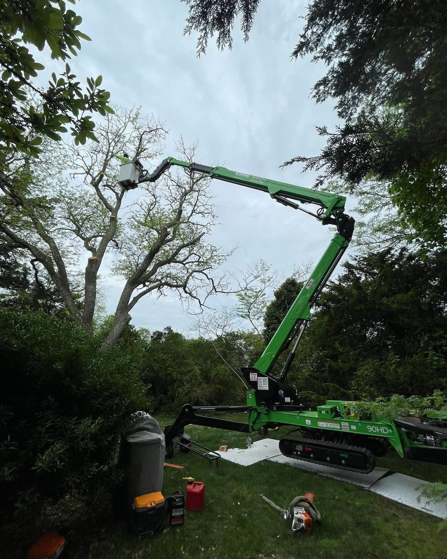 Green crane trimming a tree over a garden with workers and equipment below