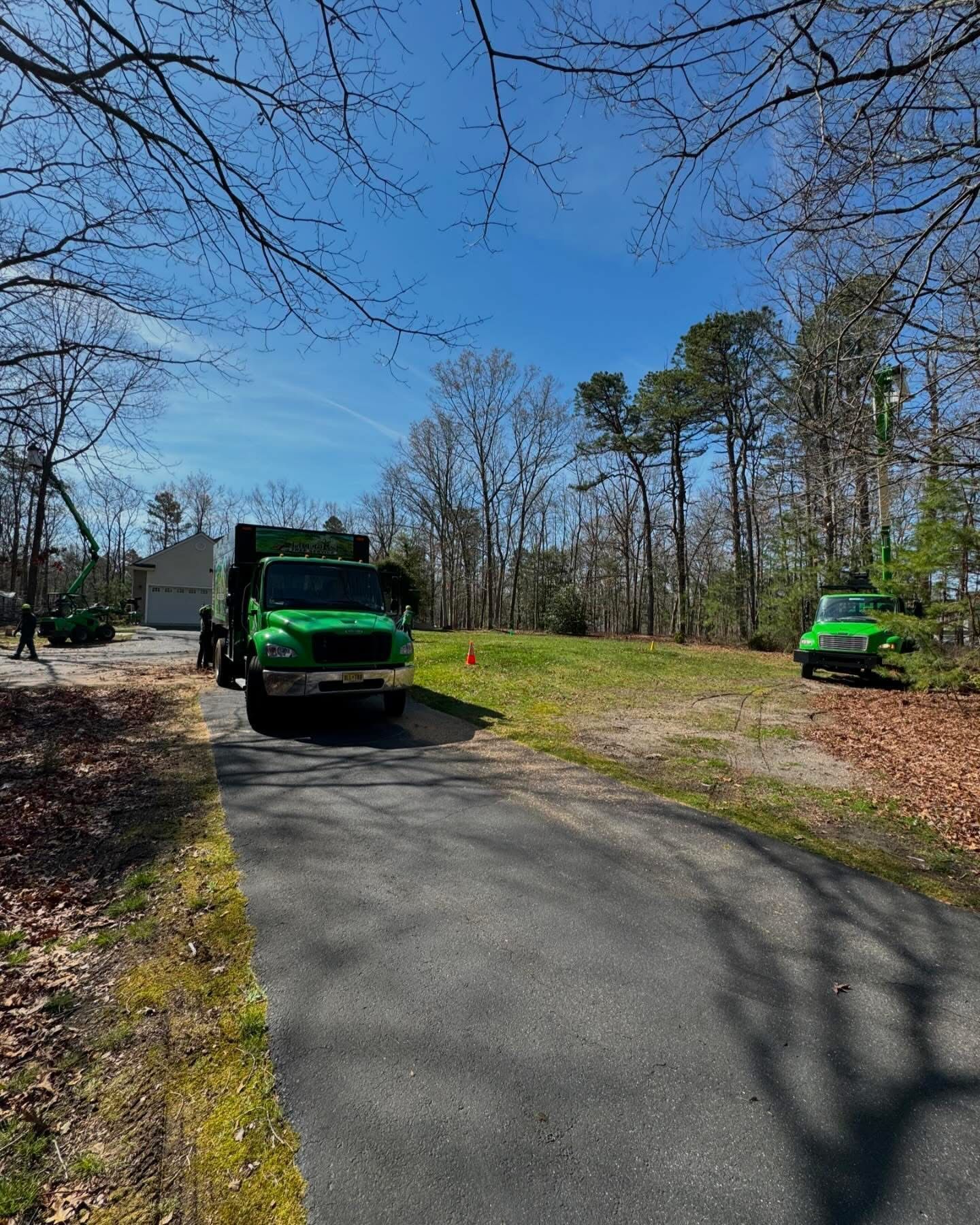 Two green trucks on a paved park road beside leafless trees under a blue sky