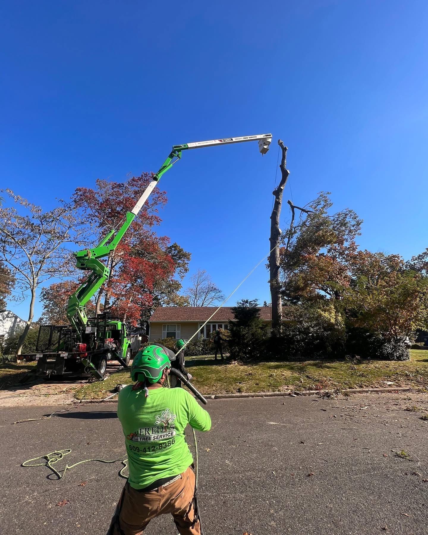Worker using a green lift to trim a tall tree in a suburban street under a clear blue sky